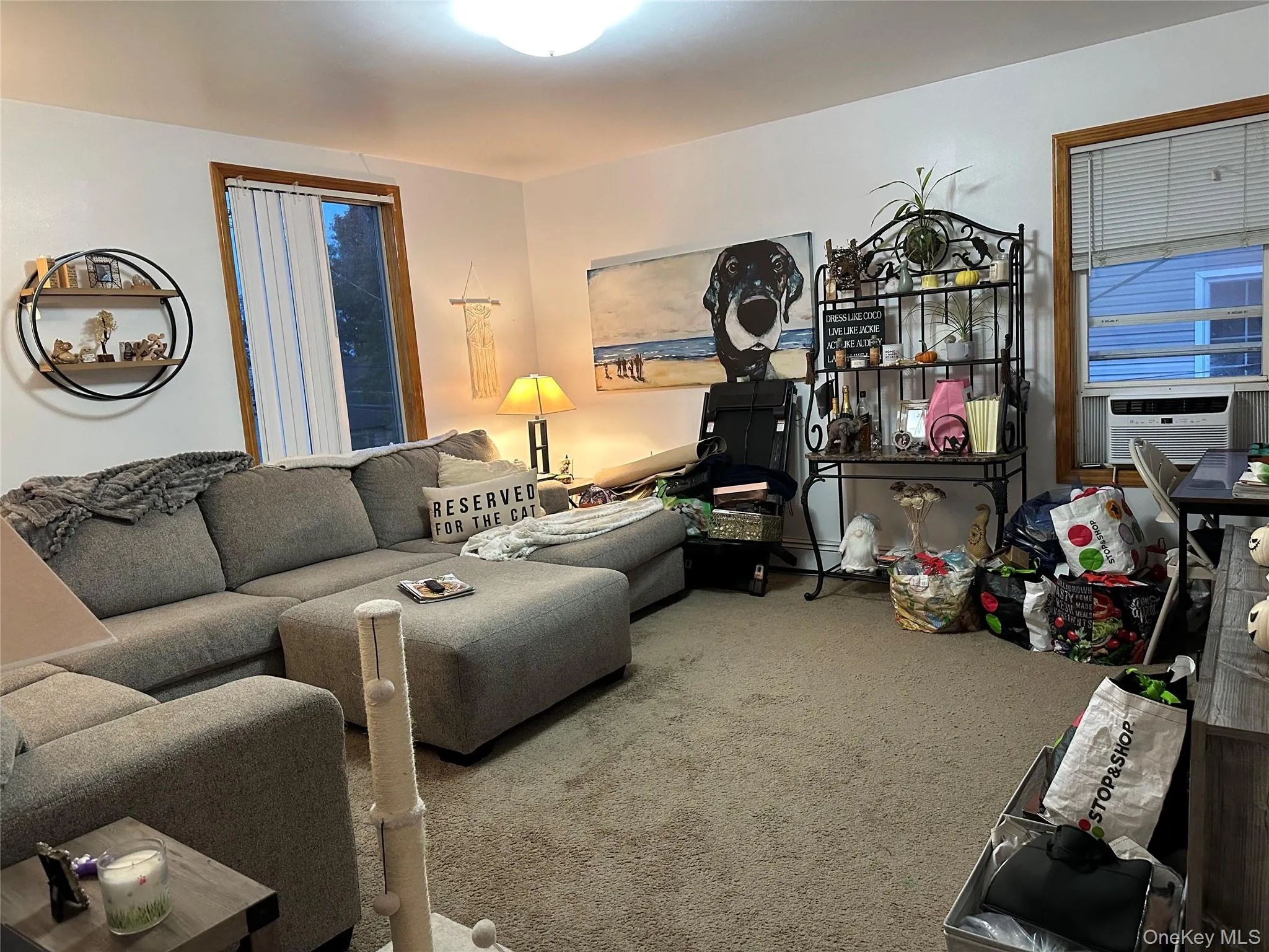 Carpeted living room featuring cooling unit Carpeted living room featuring cooling unit