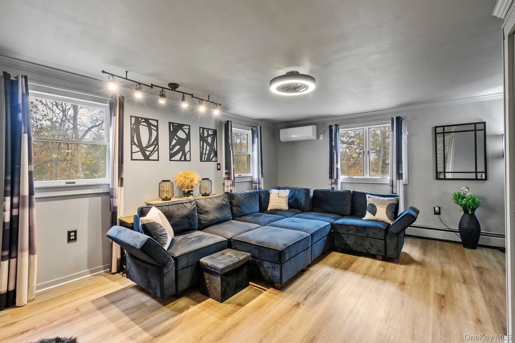 Living room featuring light wood finished floors, crown molding, a baseboard radiator, and a wall unit AC Living room featuring light wood finished floors, crown molding, a baseboard radiator, and a wall unit AC