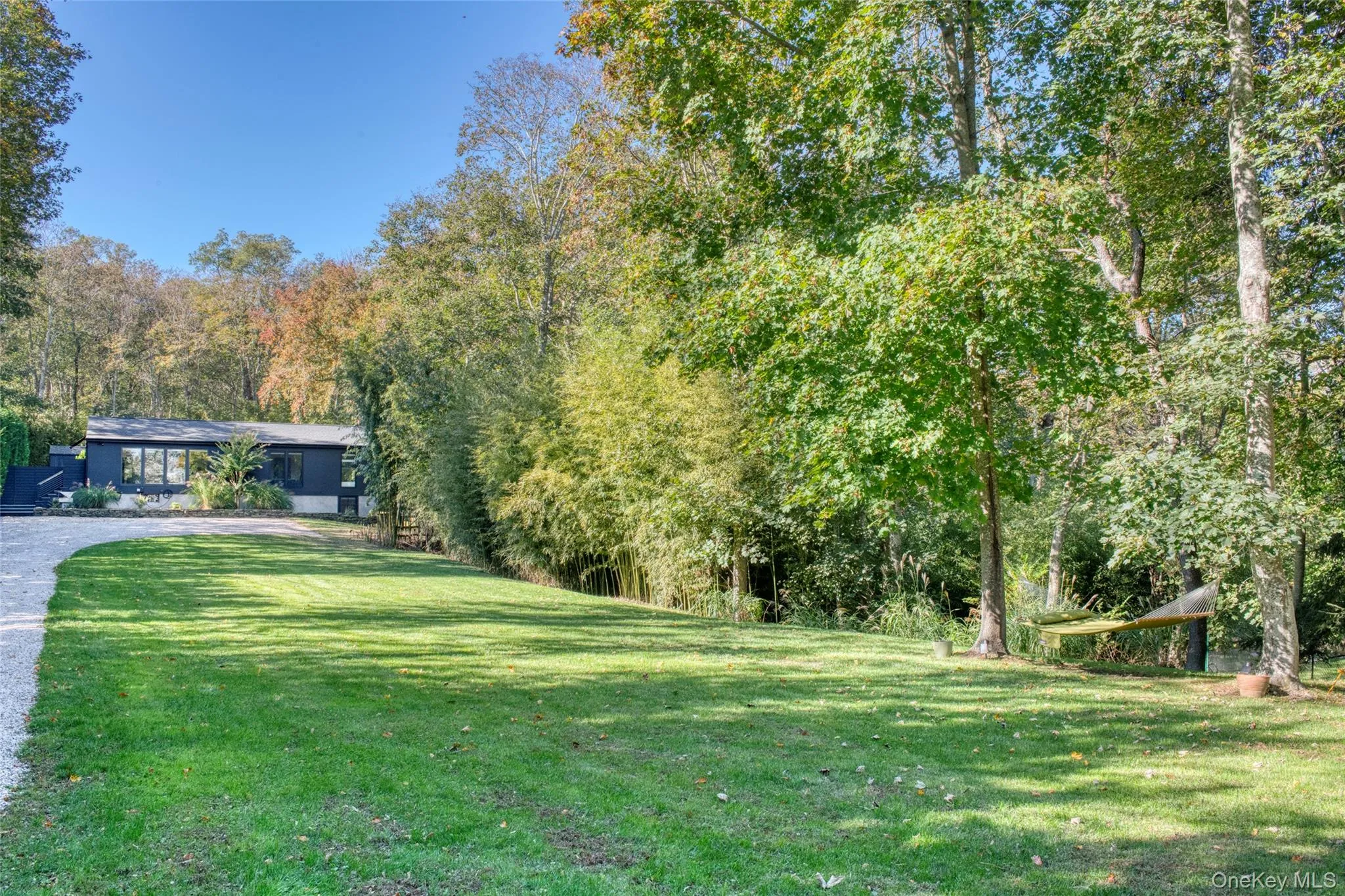 View of grassy yard featuring a wooded view View of grassy yard featuring a wooded view
