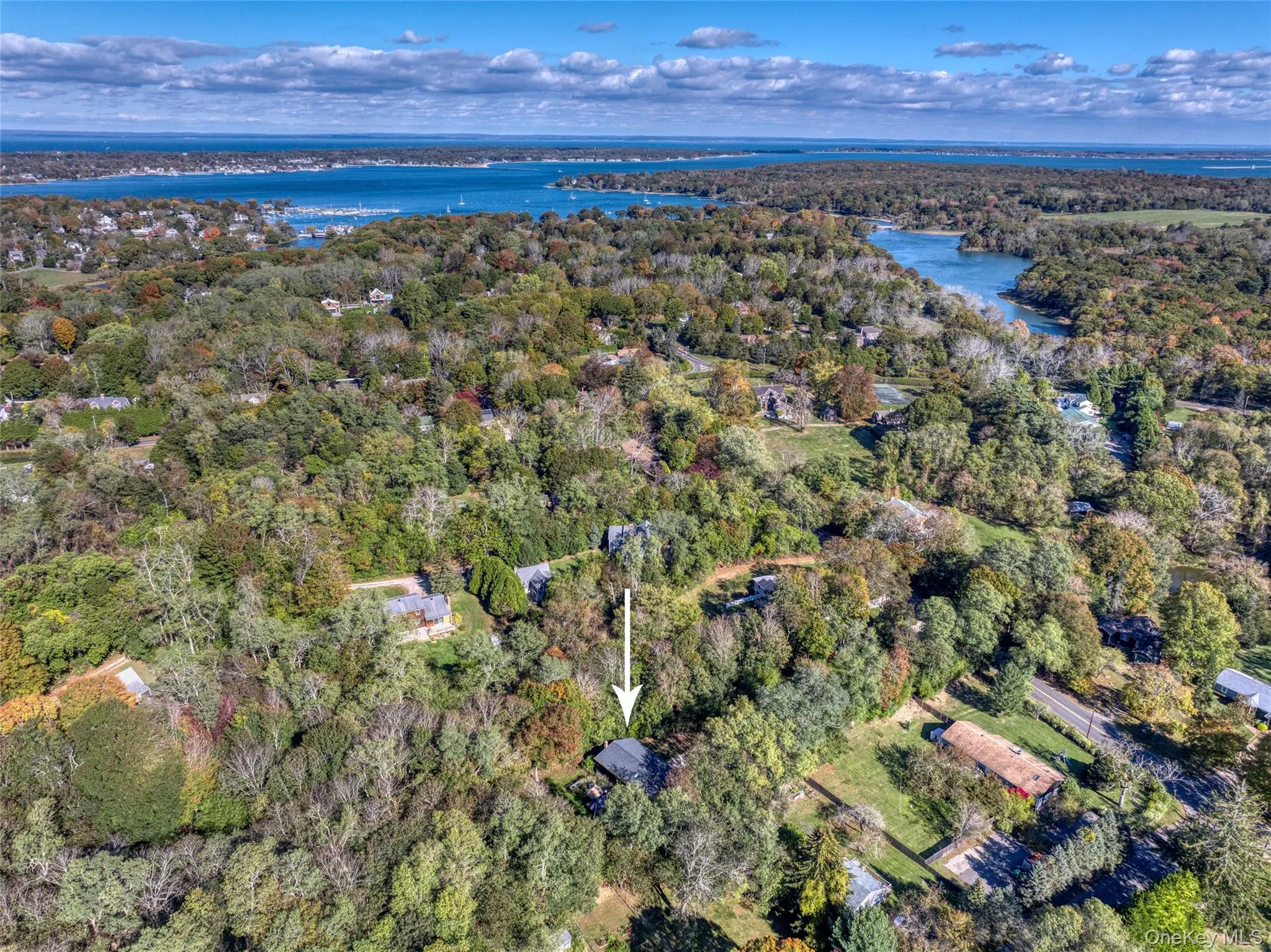 Aerial view of property's location featuring a nearby body of water and a forest Aerial view of property's location featuring a nearby body of water and a forest