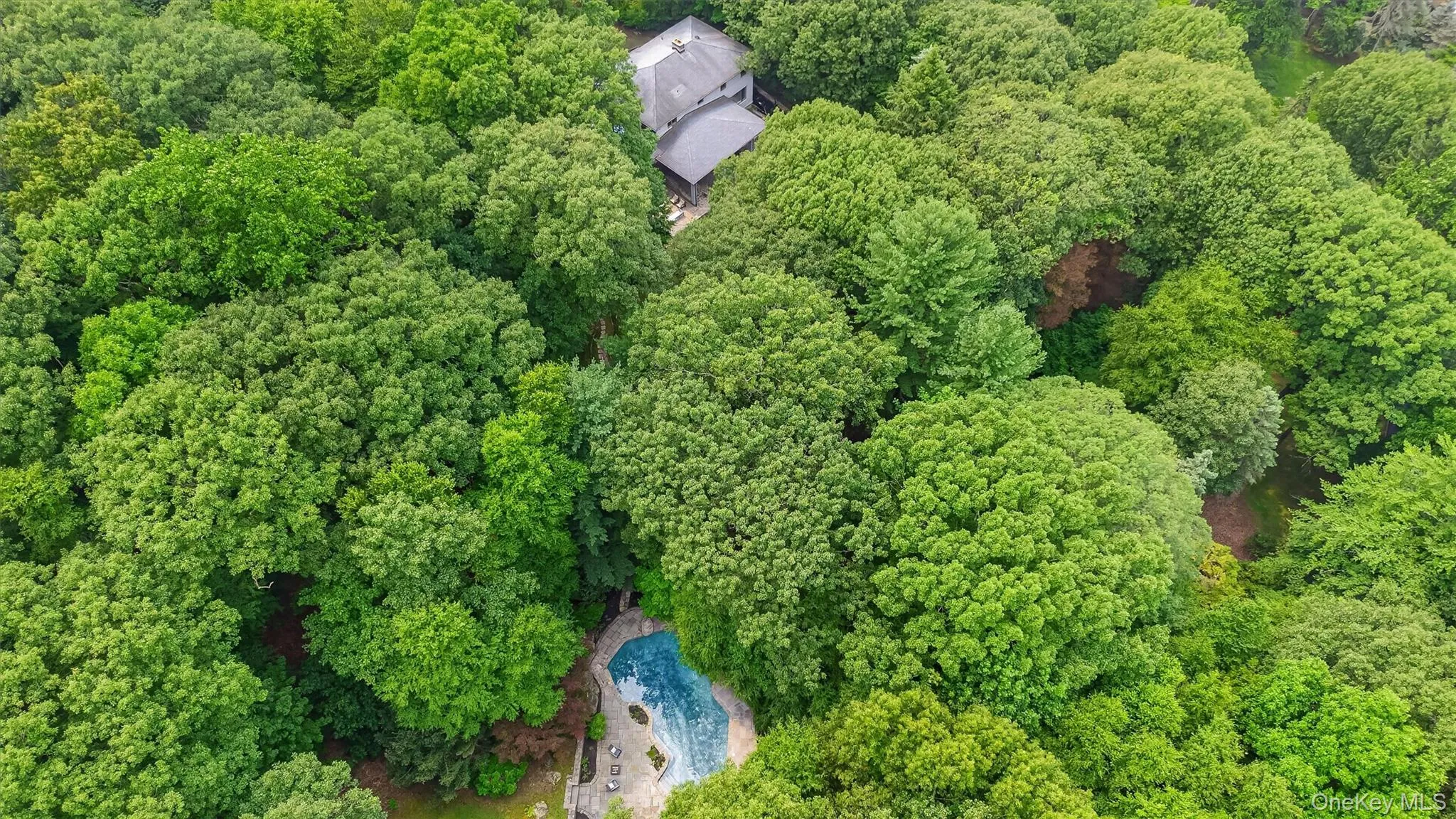 7 Cyrus Field Road, Greenburgh, NY, 4 Bedrooms Bedrooms, 9 Rooms Rooms,4 BathroomsBathrooms,Residential,For Rent,Cyrus Field,0,929915 7 Cyrus Field Road, Greenburgh, NY, 4 Bedrooms Bedrooms, 9 Rooms Rooms,4 BathroomsBathrooms,Residential,For Rent,Cyrus Field,0,929915