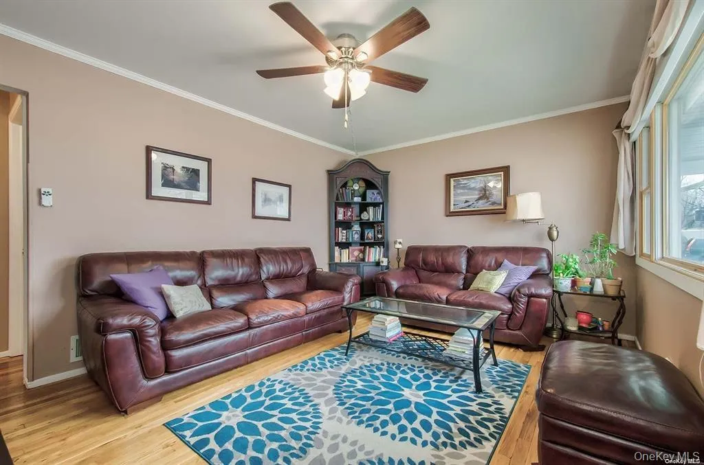 Living room with crown molding, light wood-type flooring, and a ceiling fan Living room with crown molding, light wood-type flooring, and a ceiling fan
