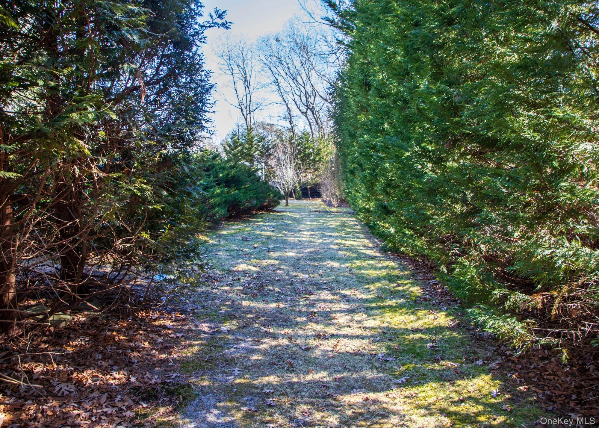 5 Southwood Lane, Southampton, NY, 3 Bedrooms Bedrooms, 11 Rooms Rooms,2 BathroomsBathrooms,Residential Lease,Idx,Southwood,0,929924 5 Southwood Lane, Southampton, NY, 3 Bedrooms Bedrooms, 11 Rooms Rooms,2 BathroomsBathrooms,Residential Lease,Idx,Southwood,0,929924