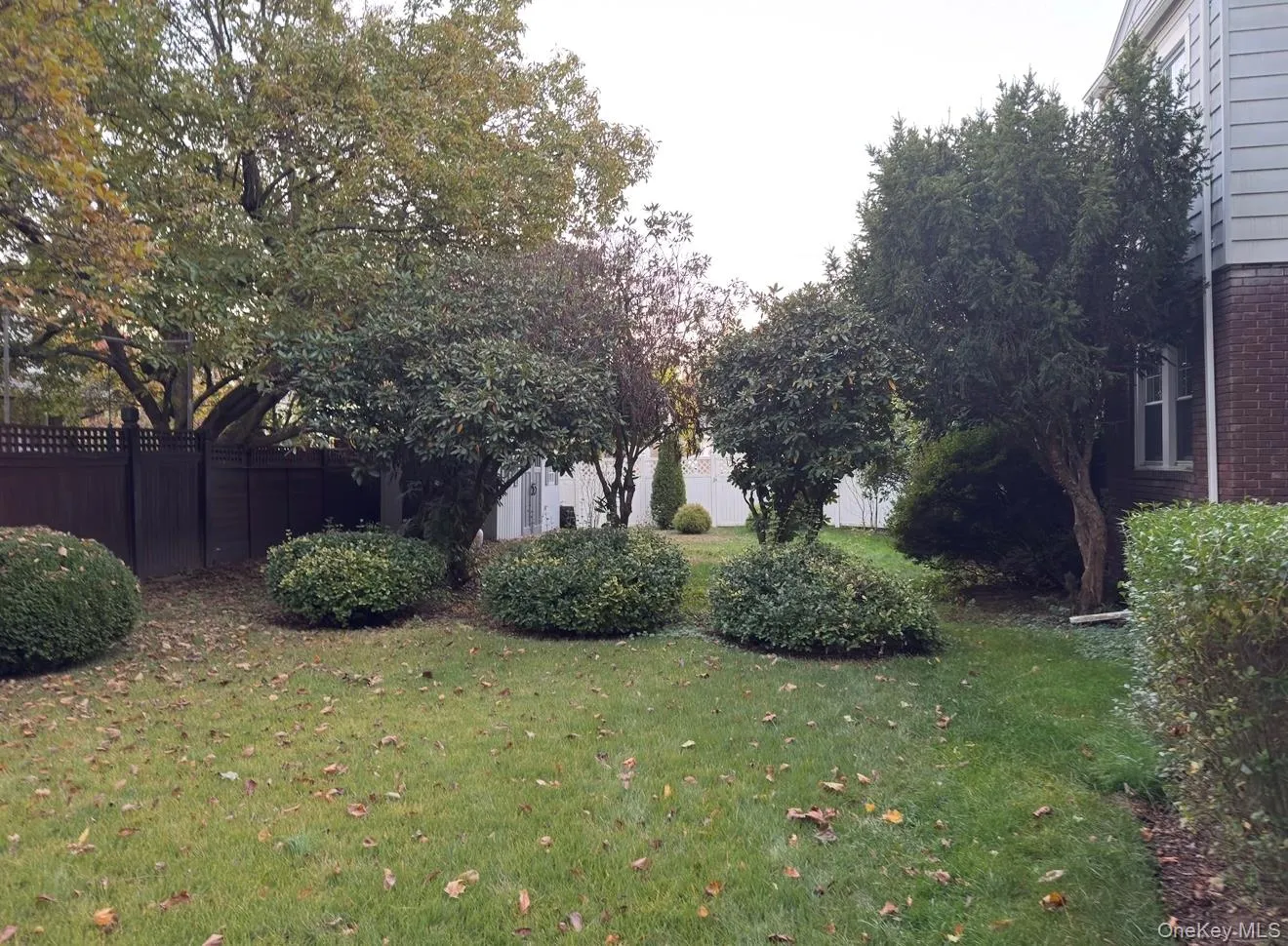 View of yard View of yard