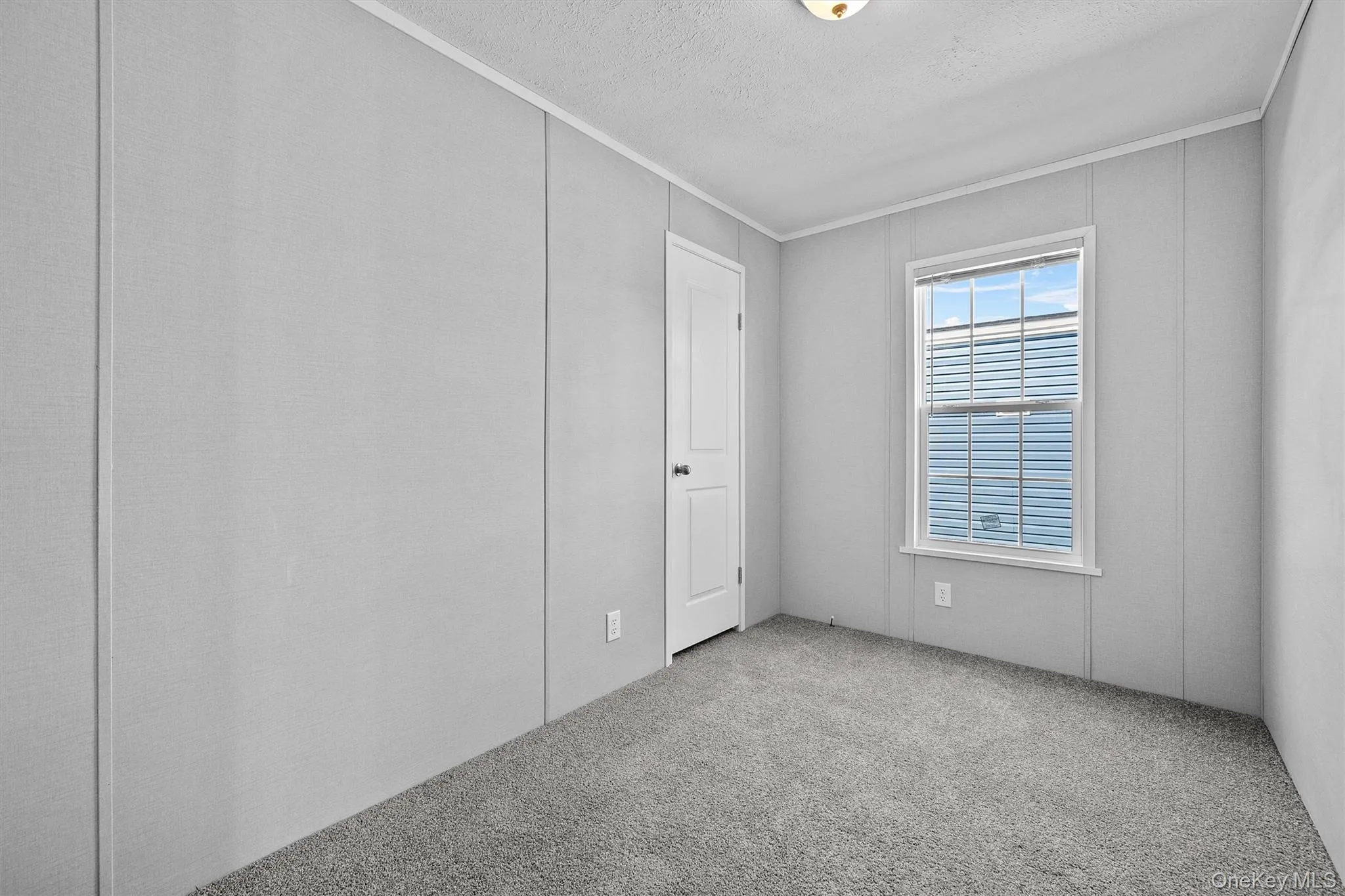 Empty room with crown molding and carpet flooring Empty room with crown molding and carpet flooring