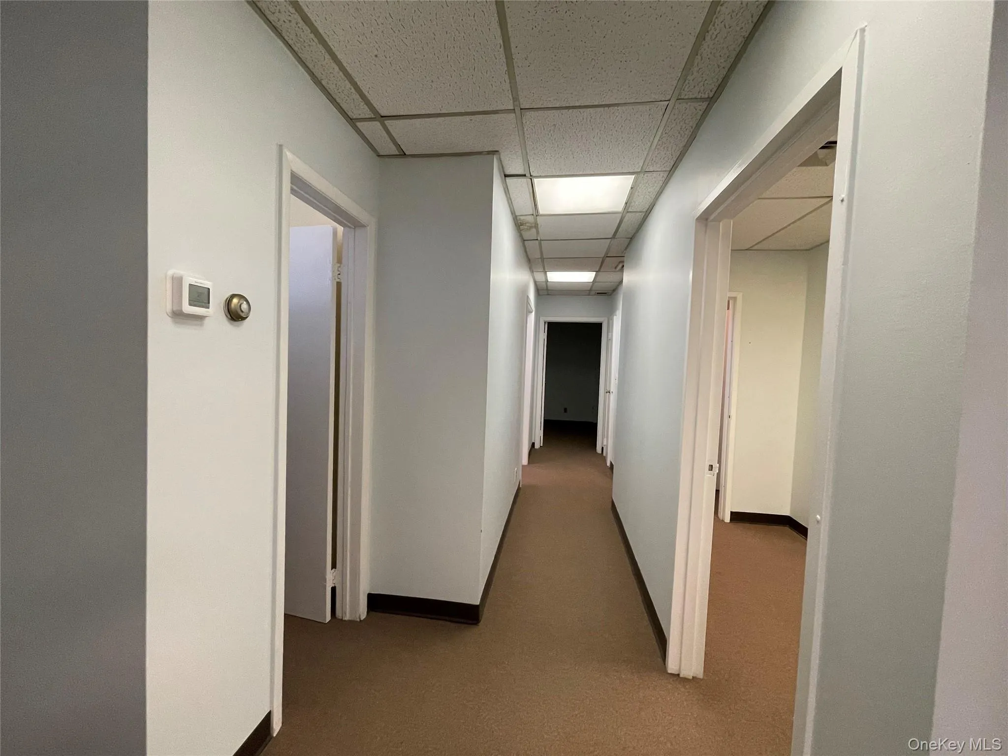 Corridor with a paneled ceiling and carpet floors Corridor with a paneled ceiling and carpet floors