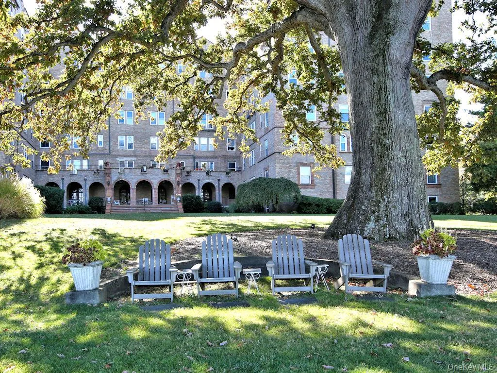 View of grassy yard featuring a patio View of grassy yard featuring a patio