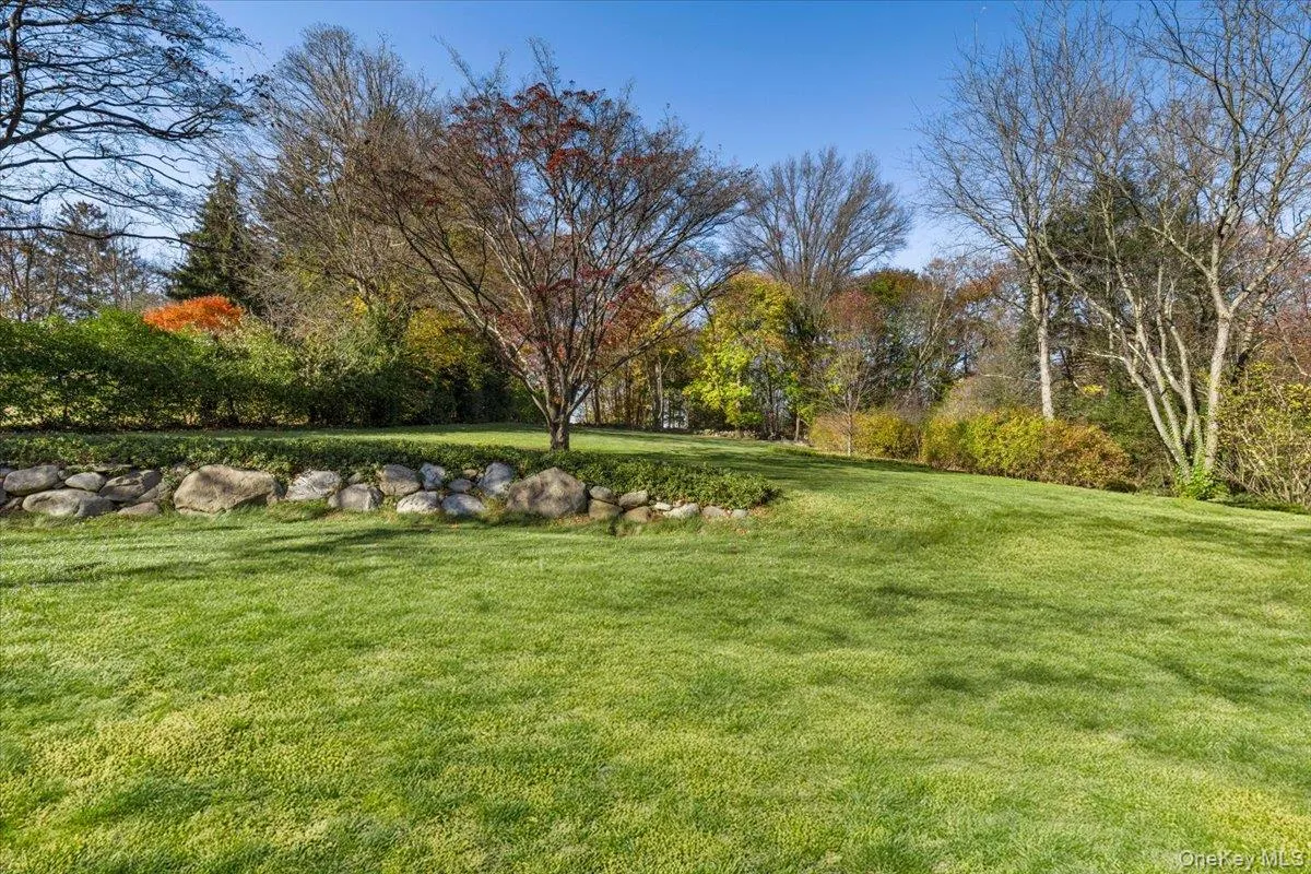 View of grassy yard View of grassy yard