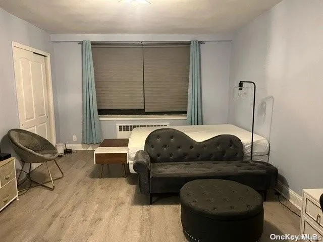 Living area featuring light wood-style flooring and radiator Living area featuring light wood-style flooring and radiator