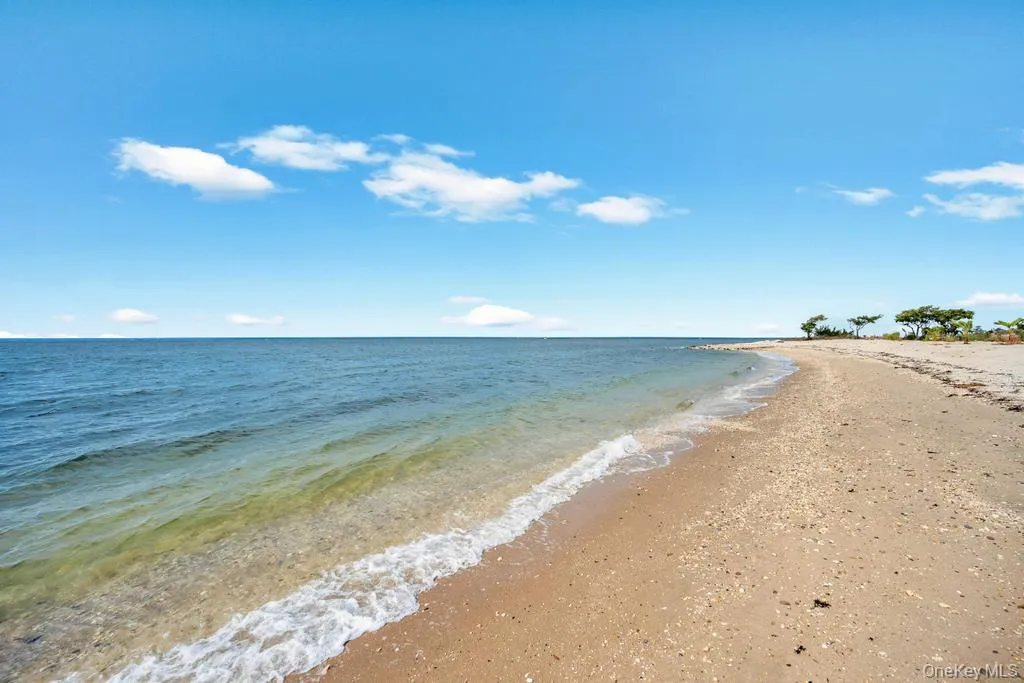 Water view with local beach Water view with local beach