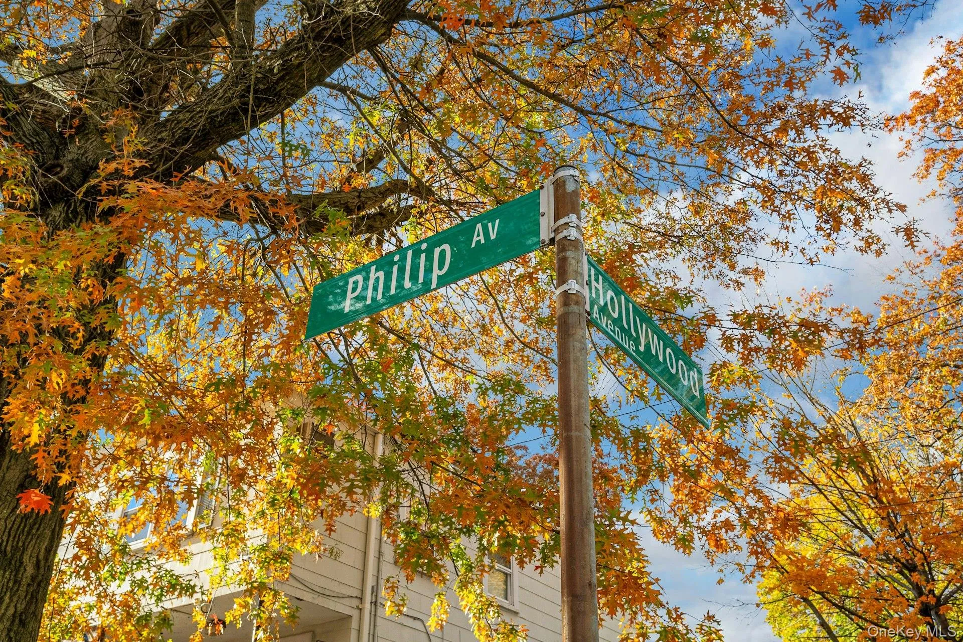 Sign- Hollywood Ave off of Philip Ave. Sign- Hollywood Ave off of Philip Ave.