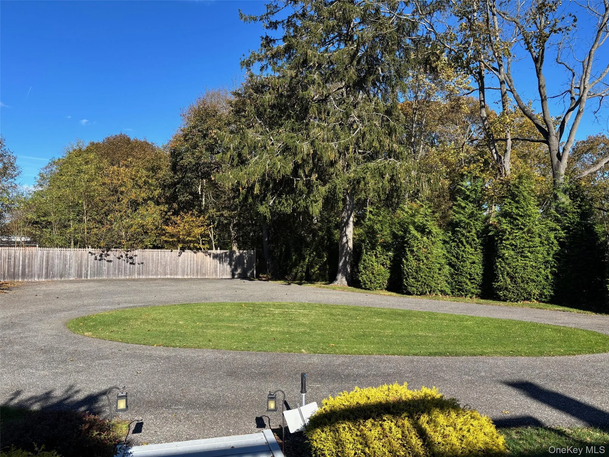 View of yard View of yard