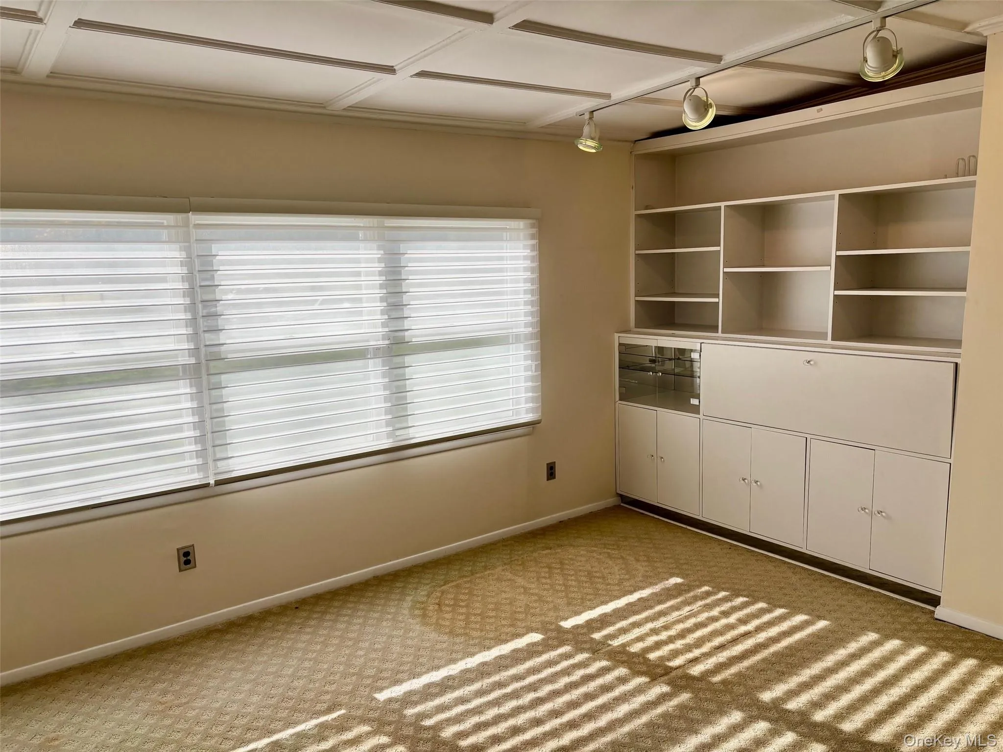 Unfurnished sitting room with built-in shelving and carpet Unfurnished sitting room with built-in shelving and carpet