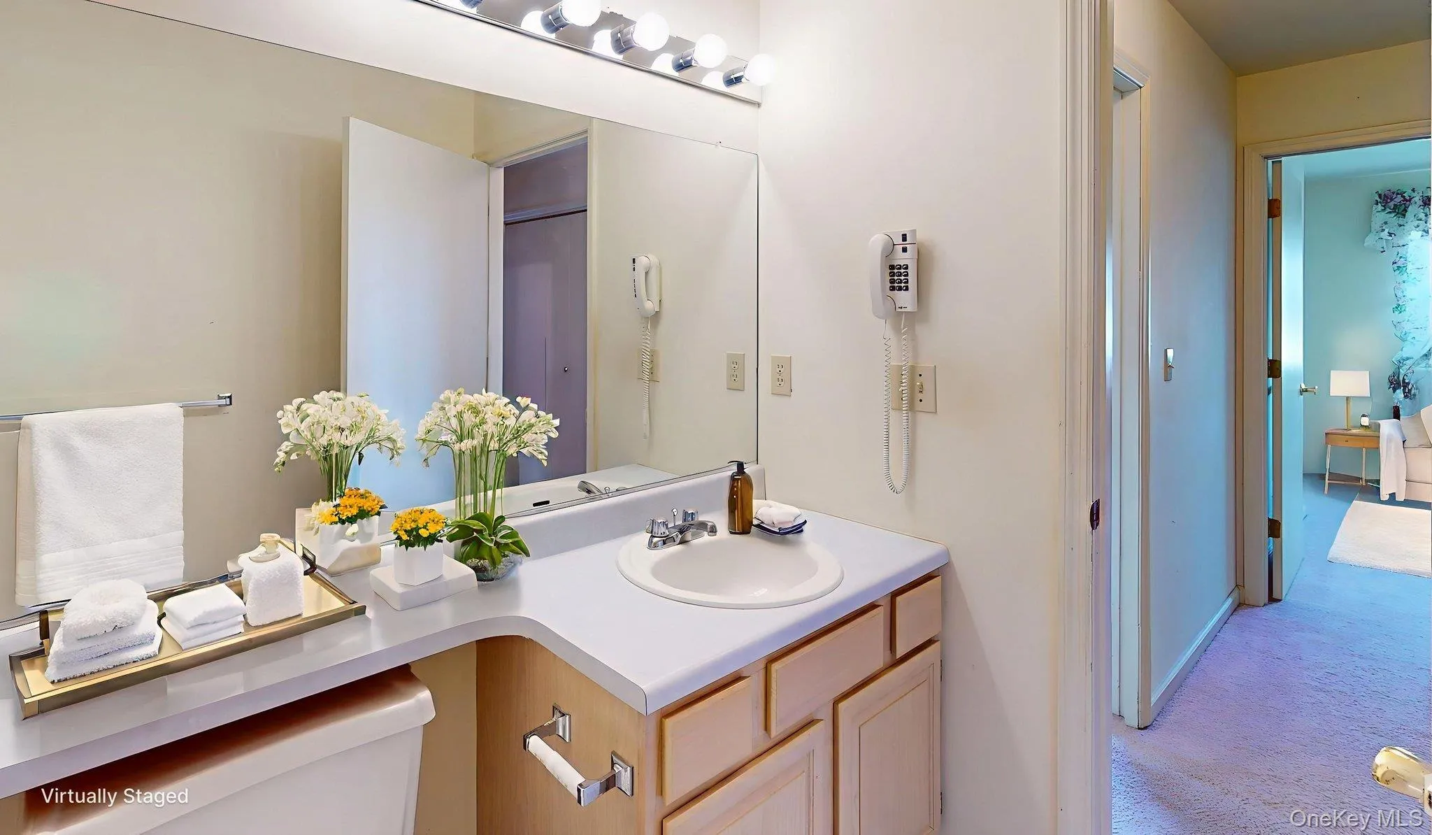 Bathroom featuring vanity and light colored carpet Bathroom featuring vanity and light colored carpet