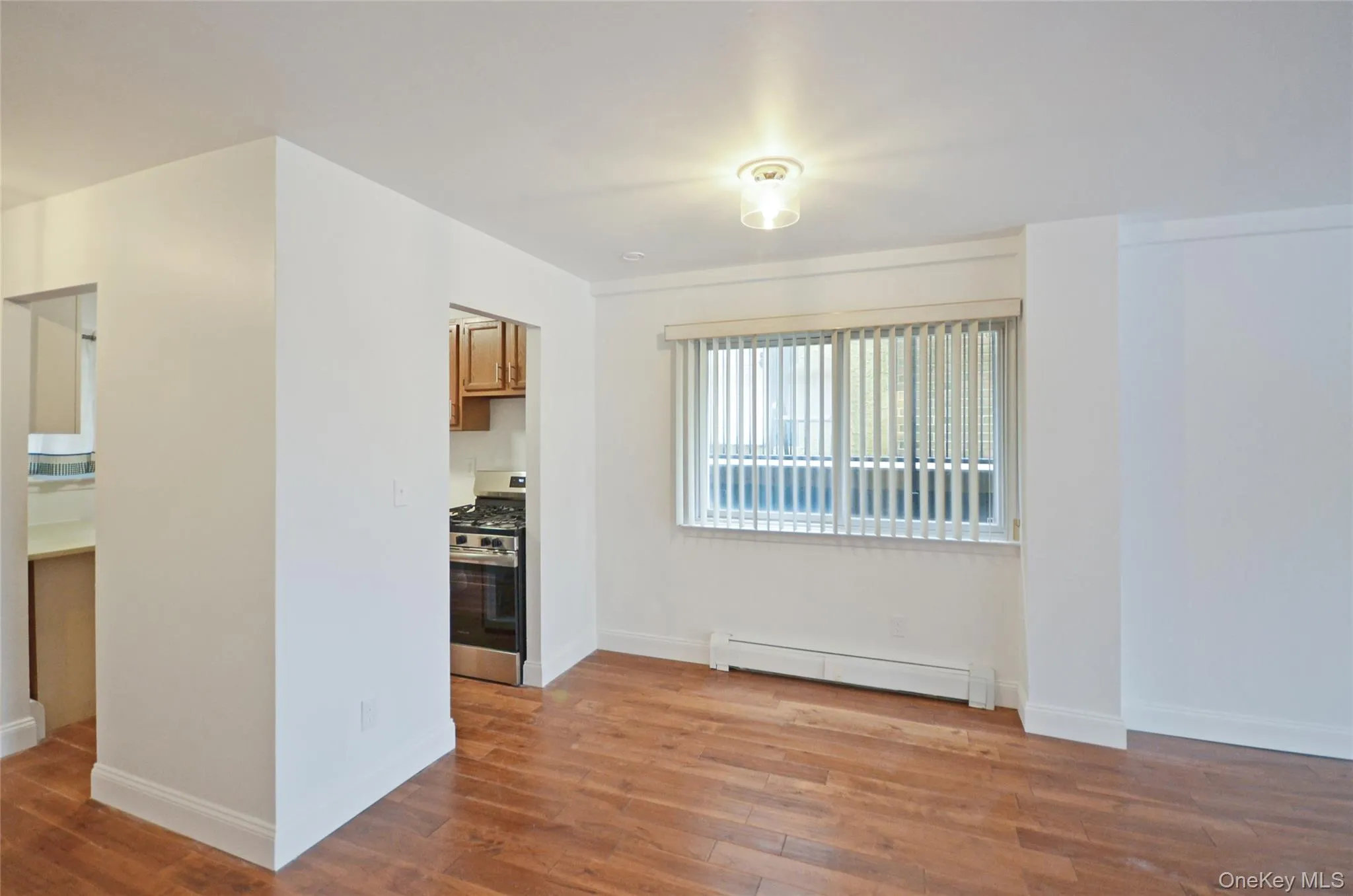 Unfurnished room featuring a baseboard heating unit and light wood-style floors Unfurnished room featuring a baseboard heating unit and light wood-style floors