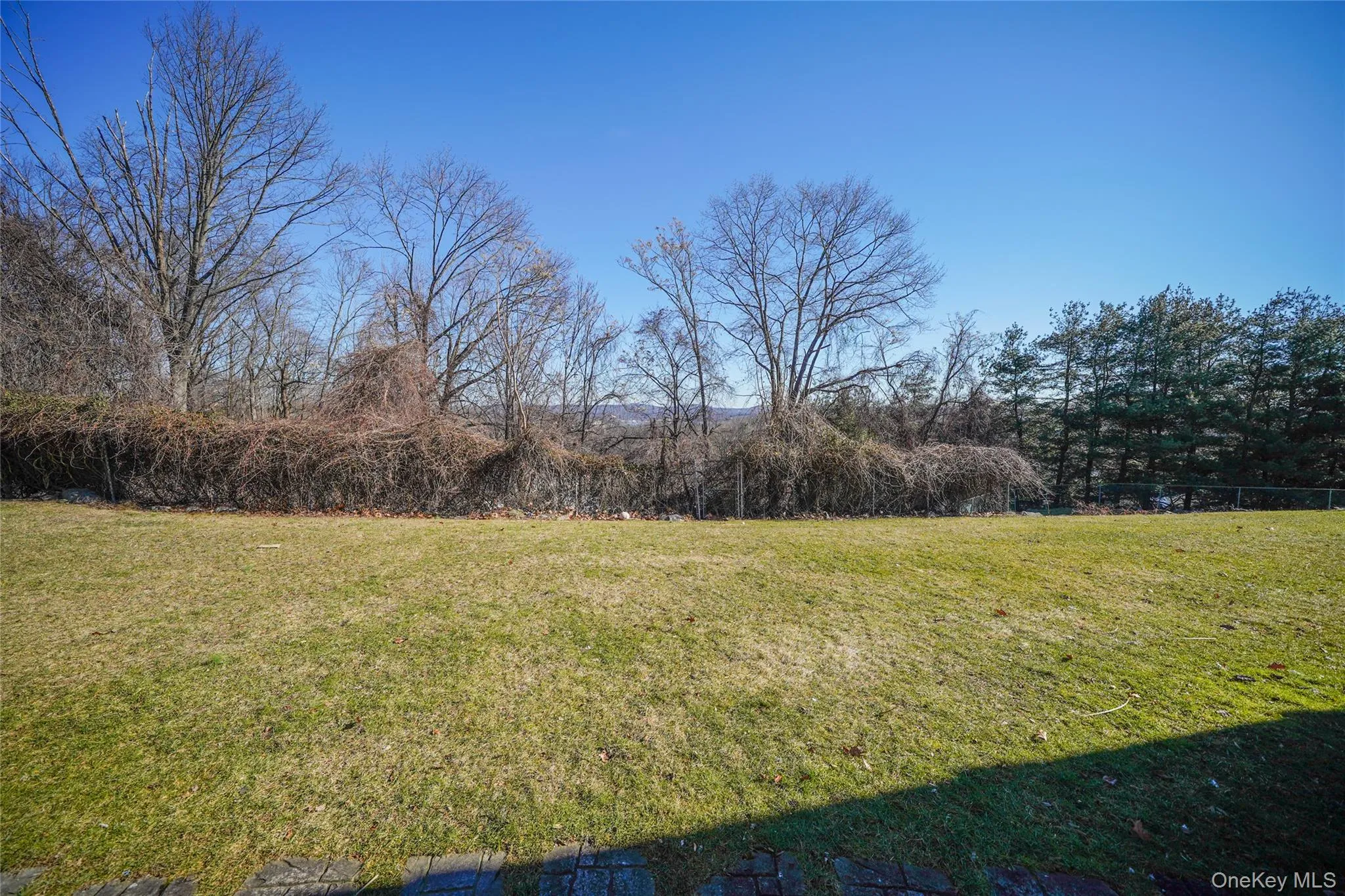 View of green lawn with view of scattered trees View of green lawn with view of scattered trees
