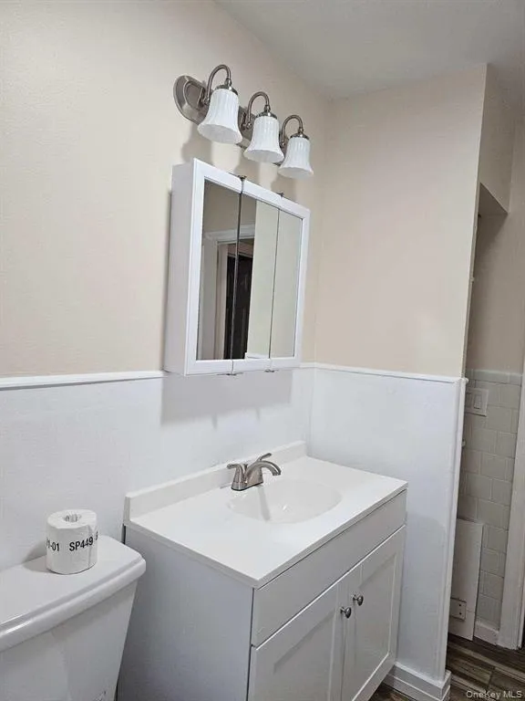 Bathroom with vanity, wainscoting, and dark wood-style flooring Bathroom with vanity, wainscoting, and dark wood-style flooring
