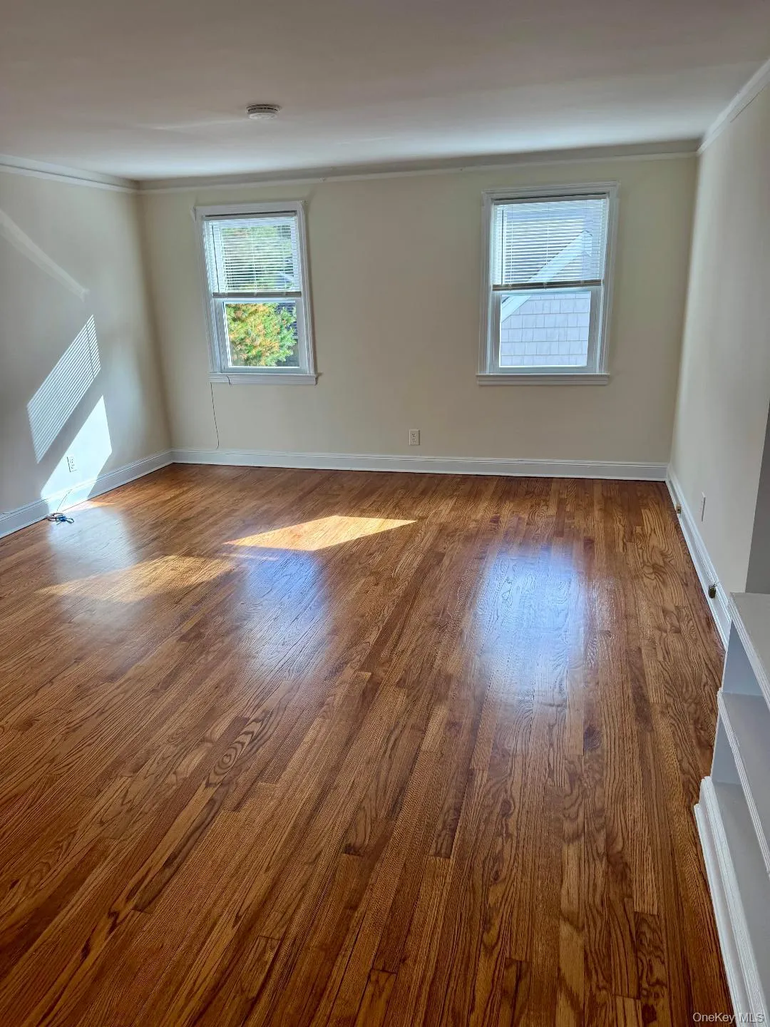 Unfurnished room featuring wood finished floors and ornamental molding Unfurnished room featuring wood finished floors and ornamental molding