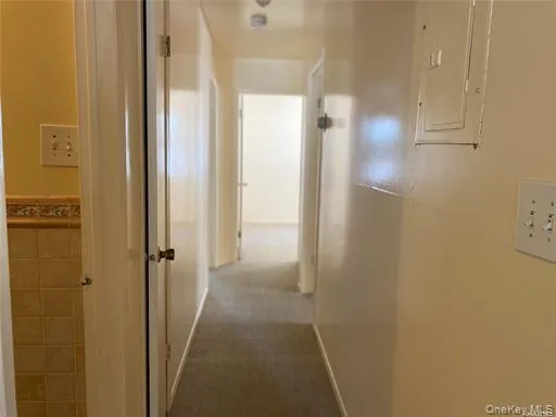 Corridor with electric panel and carpet floors Corridor with electric panel and carpet floors