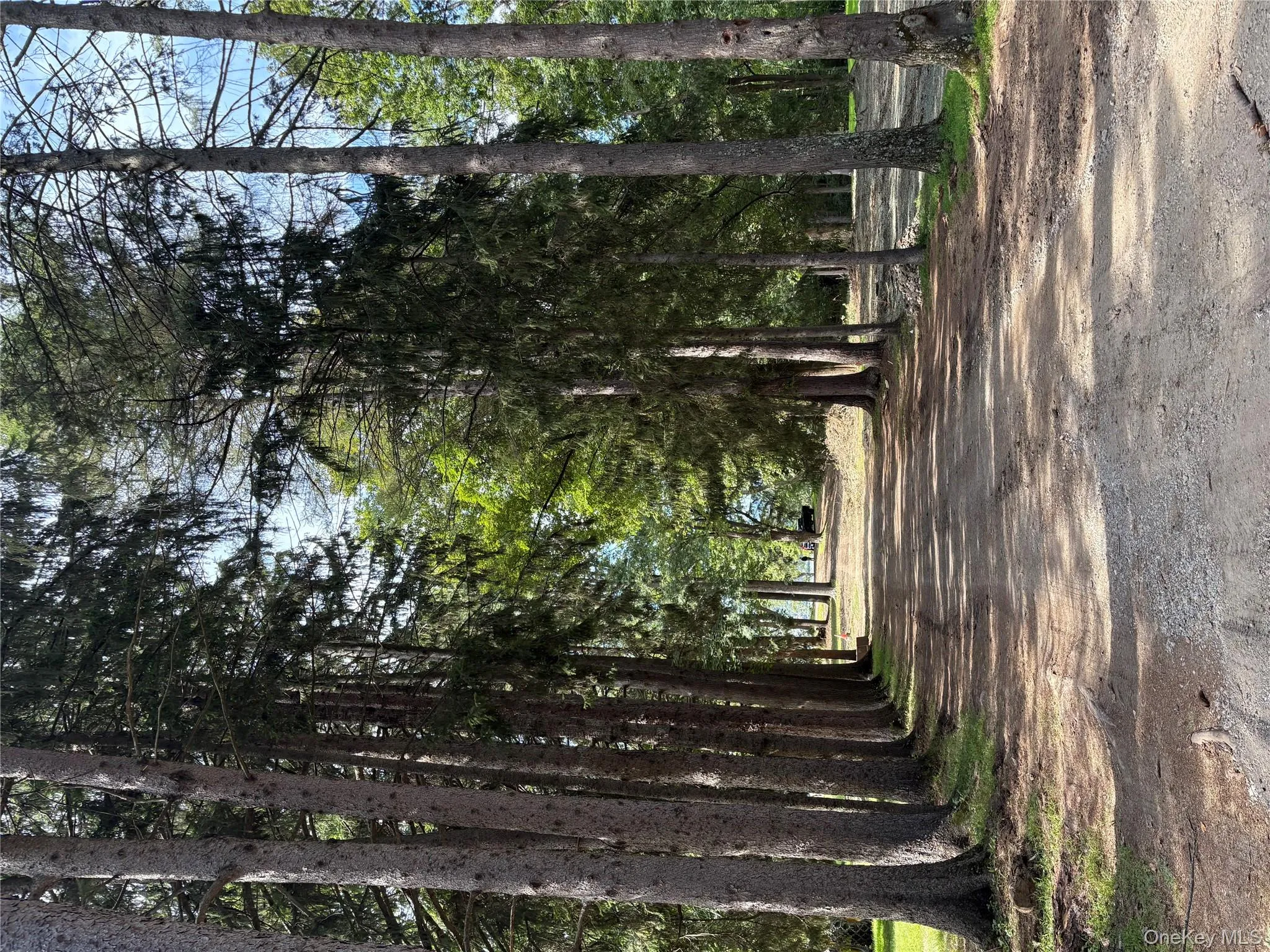 View of dirt / gravel road View of dirt / gravel road