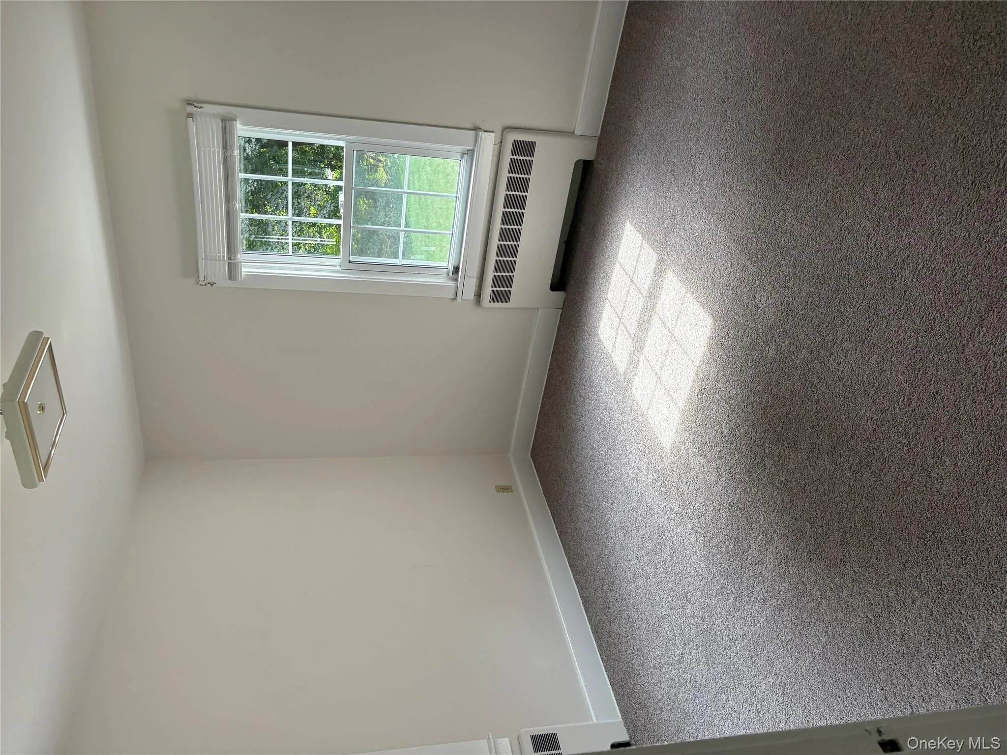 Unfurnished room featuring light carpet and radiator heating unit Unfurnished room featuring light carpet and radiator heating unit