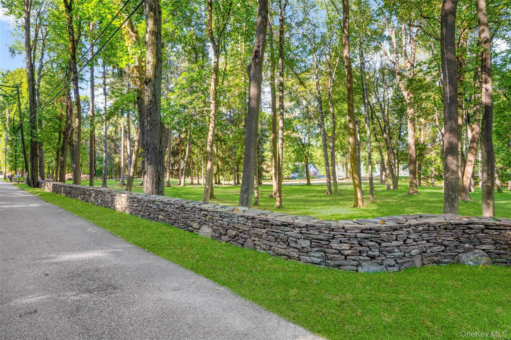 Surrounding community with a lawn Surrounding community with a lawn