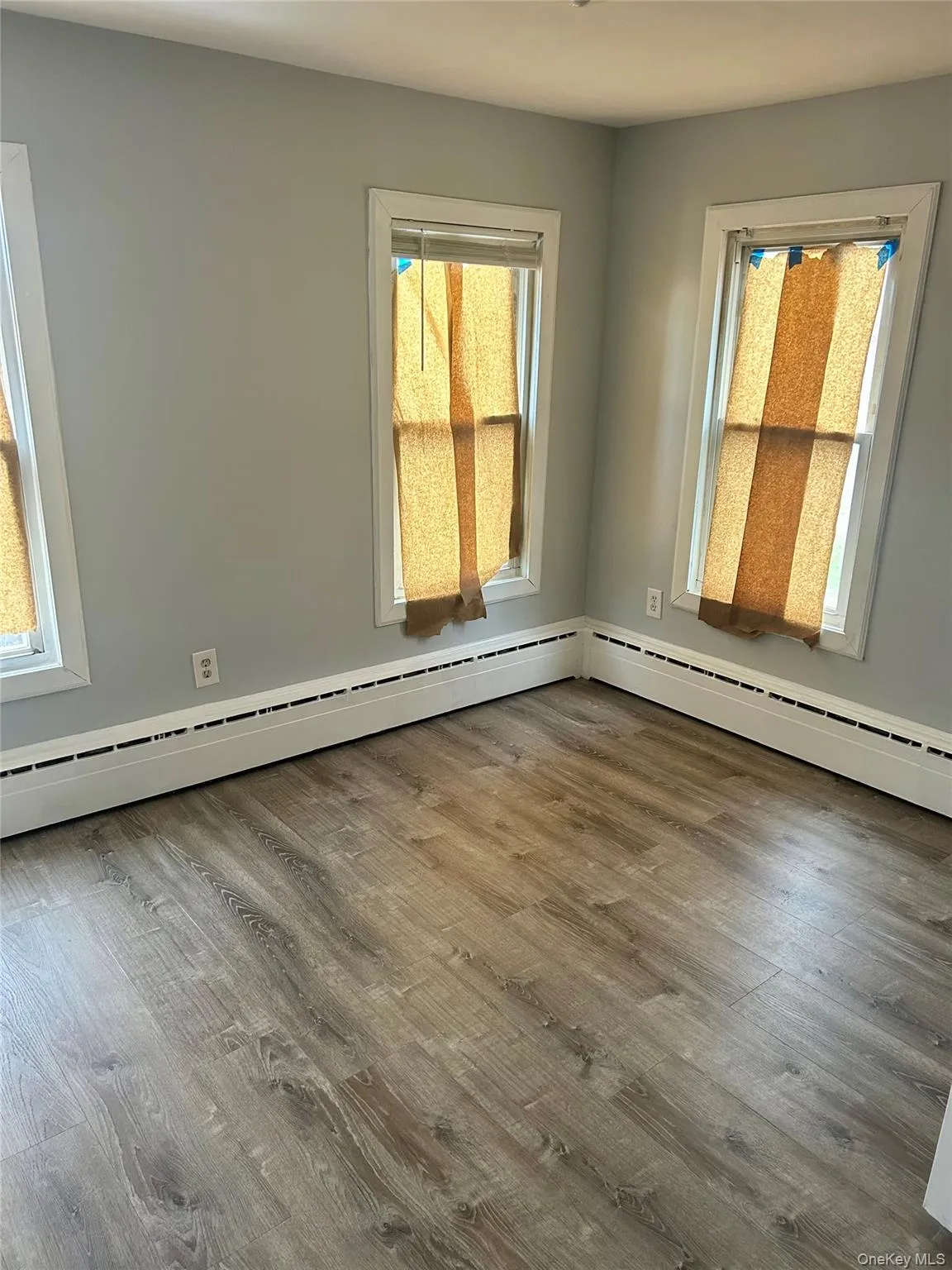 Spare room with healthy amount of natural light, wood finished floors, and a baseboard radiator Spare room with healthy amount of natural light, wood finished floors, and a baseboard radiator
