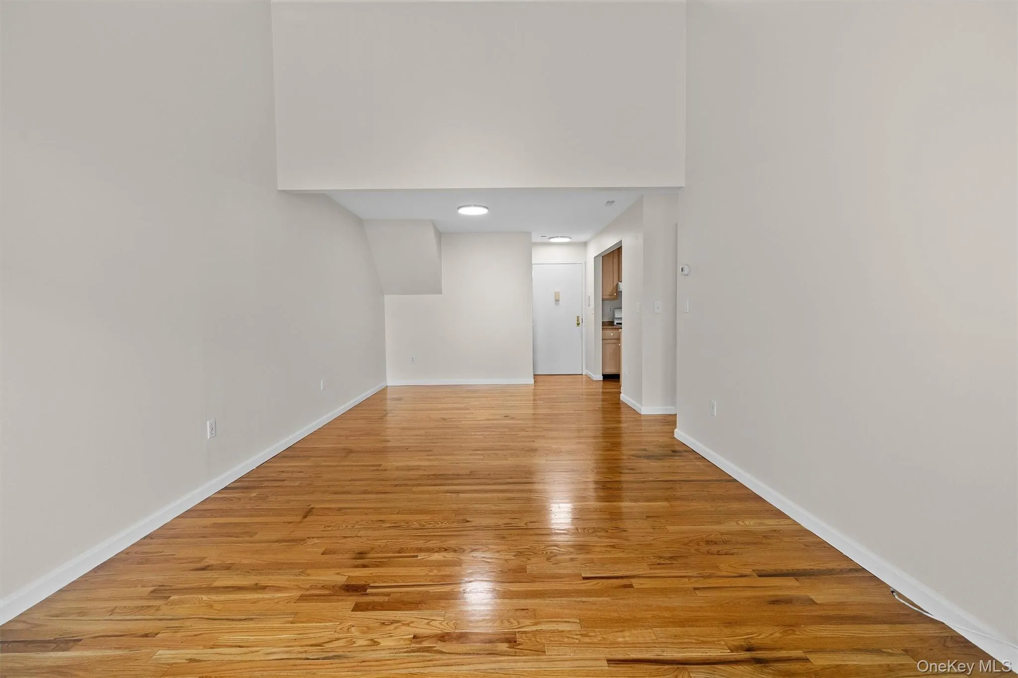 Unfurnished room featuring baseboards, light wood-style floors, and a towering ceiling Unfurnished room featuring baseboards, light wood-style floors, and a towering ceiling