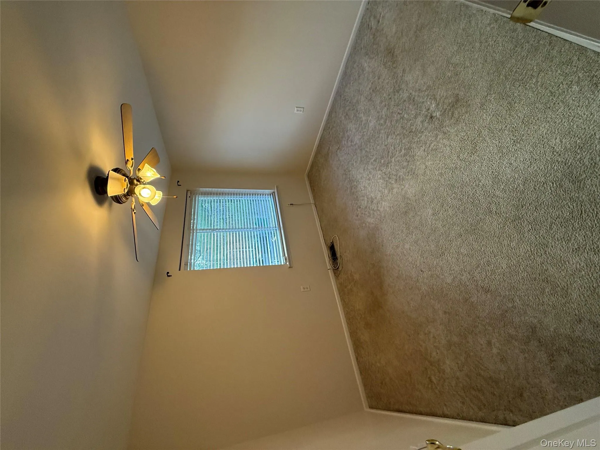 Unfurnished room featuring carpet floors and a ceiling fan Unfurnished room featuring carpet floors and a ceiling fan