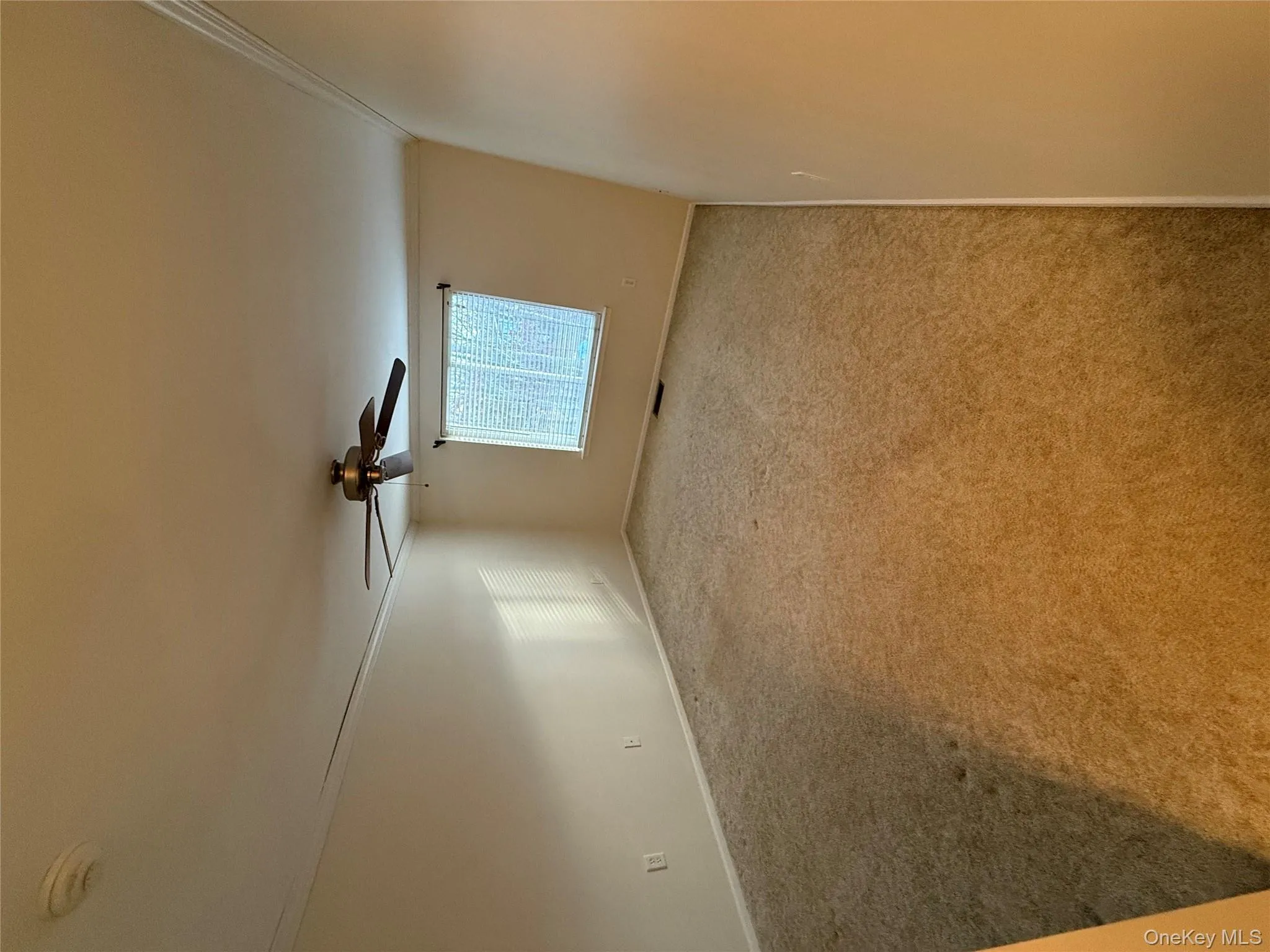 Empty room featuring carpet flooring, crown molding, a smoke detector, and a ceiling fan Empty room featuring carpet flooring, crown molding, a smoke detector, and a ceiling fan