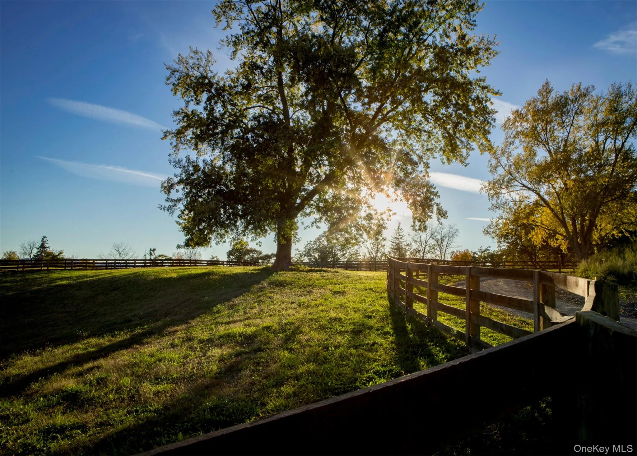 243 Morton Road, Rhinebeck, NY, 4 Bedrooms Bedrooms, 10 Rooms Rooms,4 BathroomsBathrooms,Residential Lease,Idx,Morton,0,930899 243 Morton Road, Rhinebeck, NY, 4 Bedrooms Bedrooms, 10 Rooms Rooms,4 BathroomsBathrooms,Residential Lease,Idx,Morton,0,930899