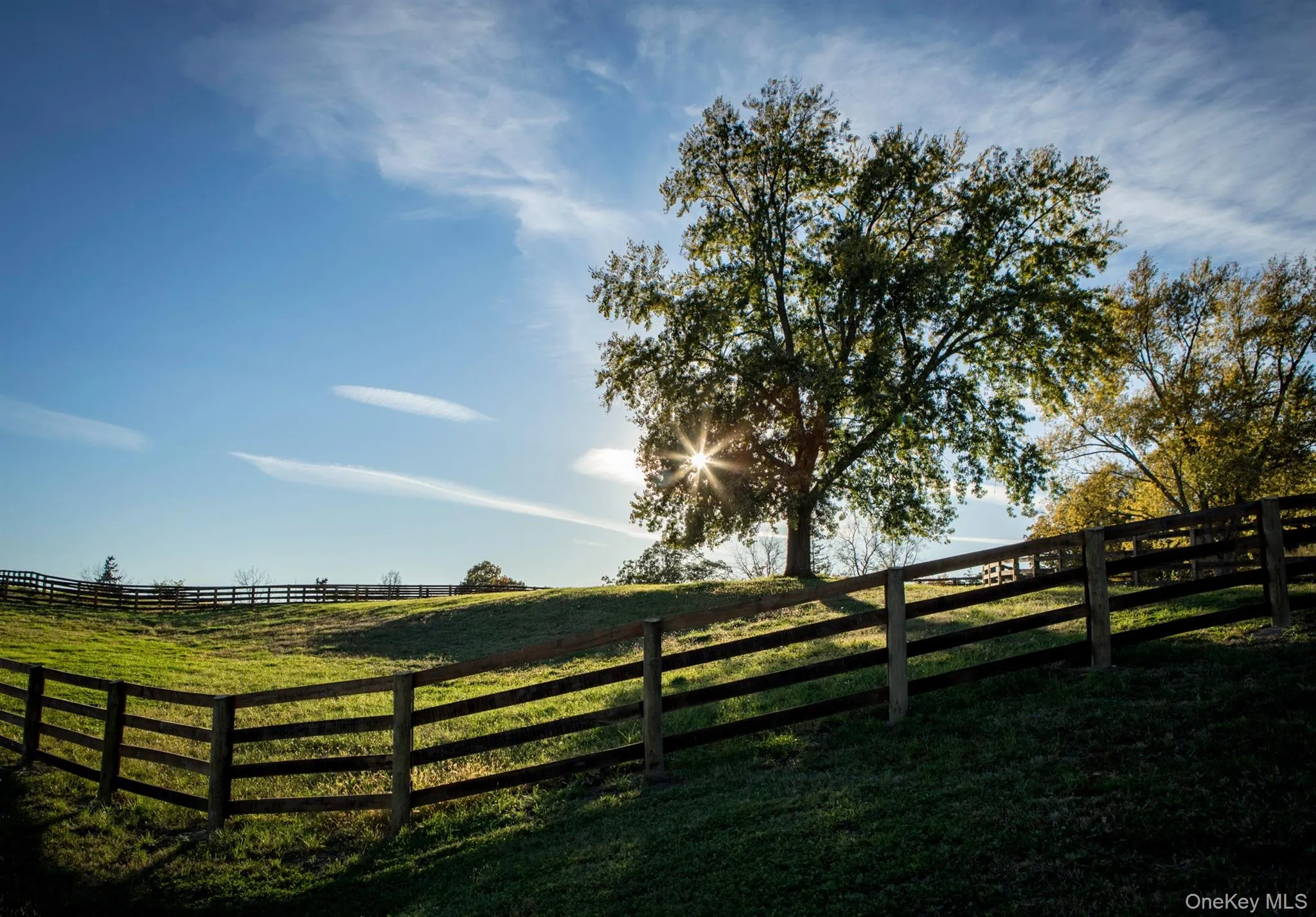 243 Morton Road, Rhinebeck, NY, 4 Bedrooms Bedrooms, 10 Rooms Rooms,4 BathroomsBathrooms,Residential Lease,Idx,Morton,0,930899 243 Morton Road, Rhinebeck, NY, 4 Bedrooms Bedrooms, 10 Rooms Rooms,4 BathroomsBathrooms,Residential Lease,Idx,Morton,0,930899