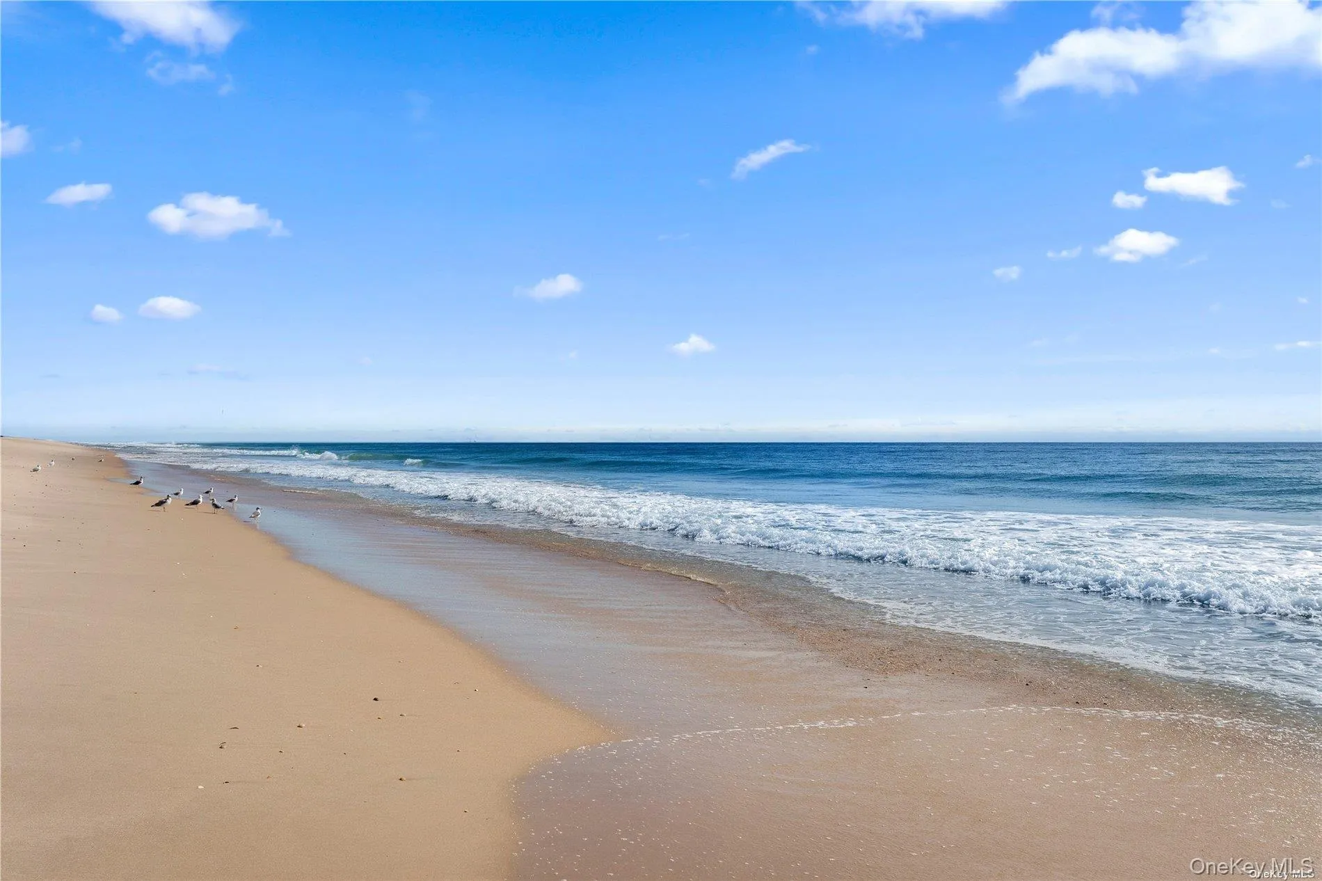 On a shy half acre of pristine Oceanfron On a shy half acre of pristine Oceanfron