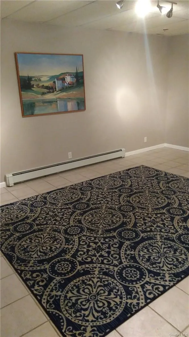 Finished lower level Finished lower level