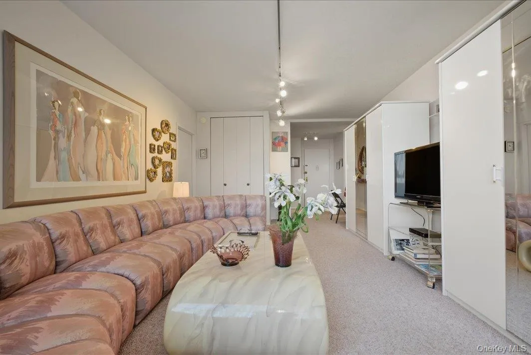 Living room featuring carpet and track lighting Living room featuring carpet and track lighting