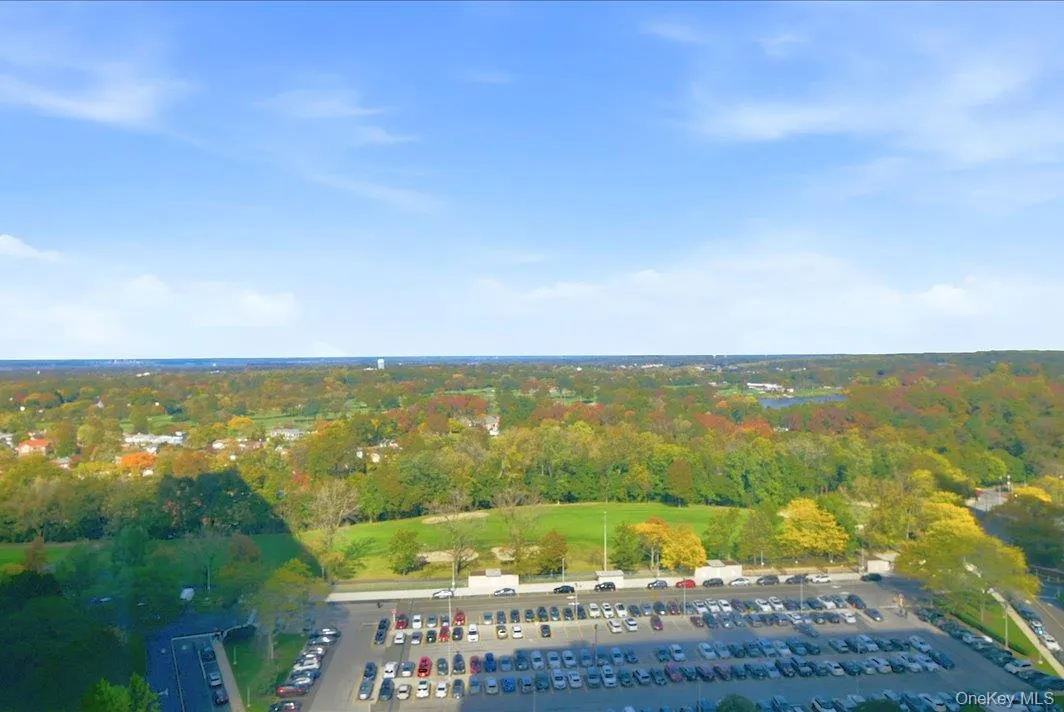 Drone / aerial view of a forest Drone / aerial view of a forest