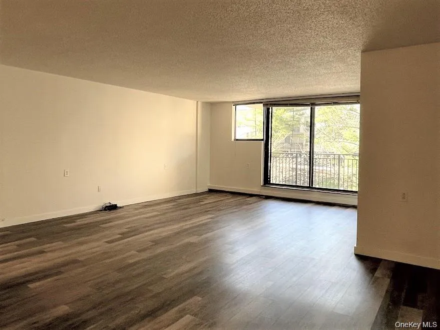 Large Living Room to Balcony Large Living Room to Balcony