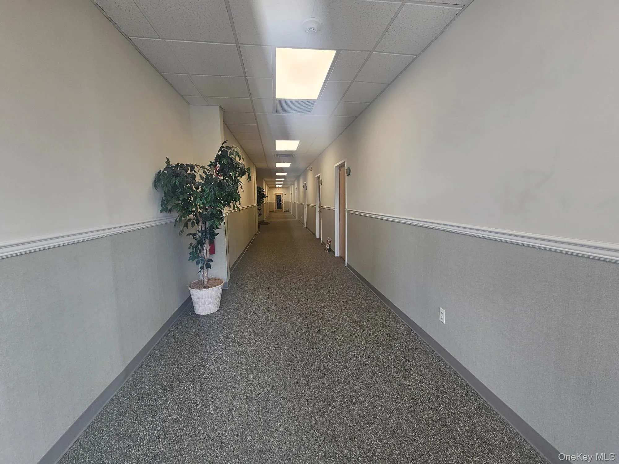 Hall with a drop ceiling and wainscoting Hall with a drop ceiling and wainscoting