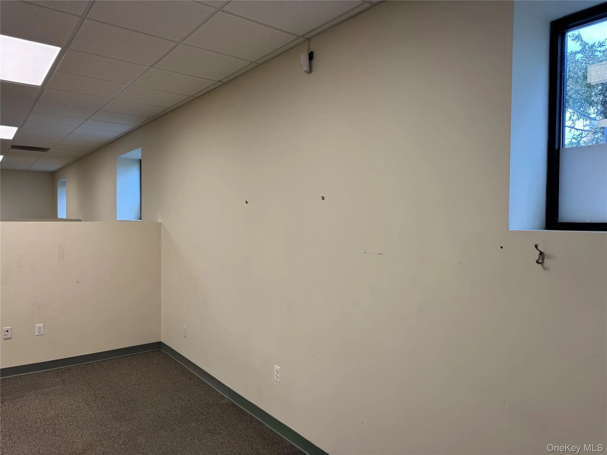 Spare room featuring a drop ceiling and baseboards Spare room featuring a drop ceiling and baseboards
