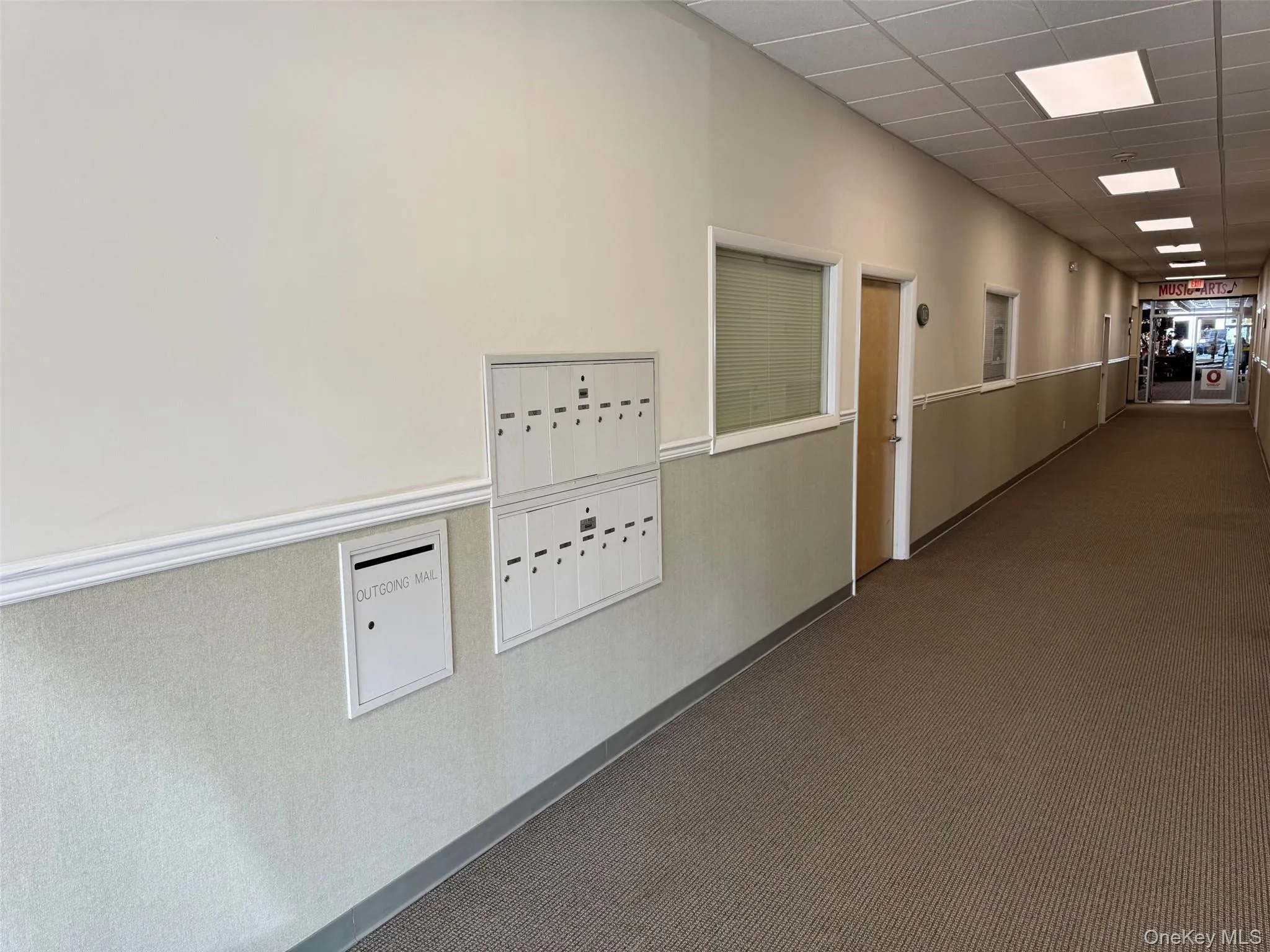 Corridor featuring a drop ceiling, mail area, carpet floors, and wainscoting Corridor featuring a drop ceiling, mail area, carpet floors, and wainscoting