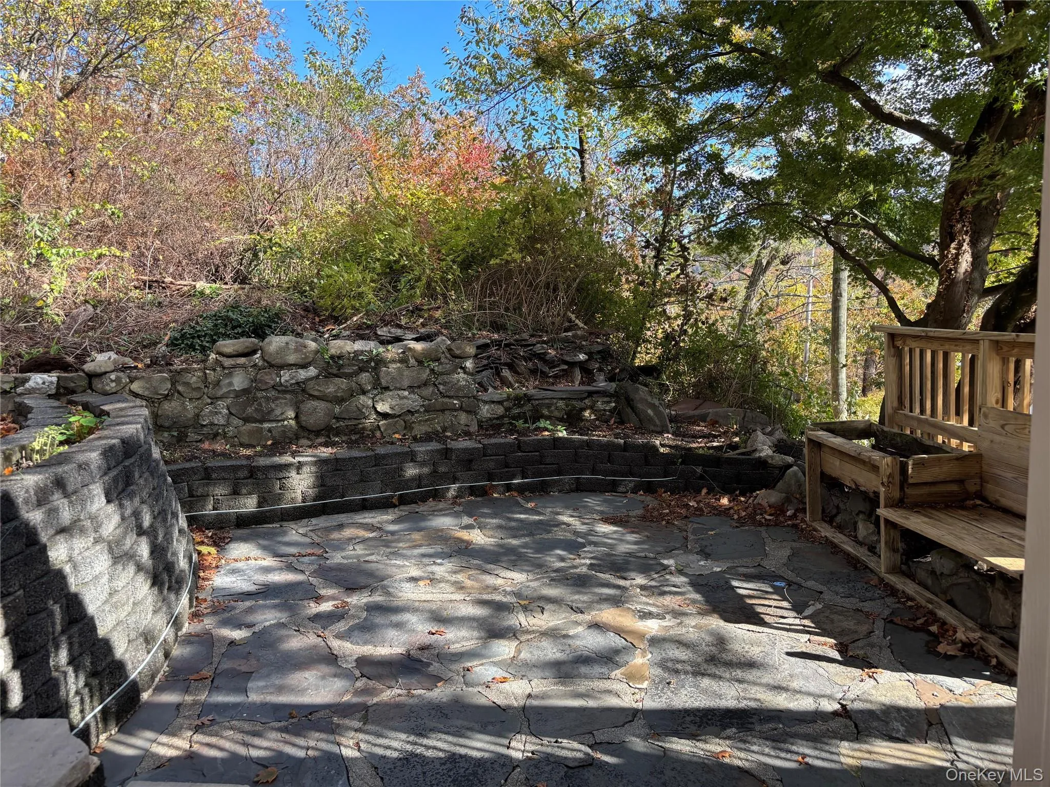 Wooden deck with view of scattered trees Wooden deck with view of scattered trees