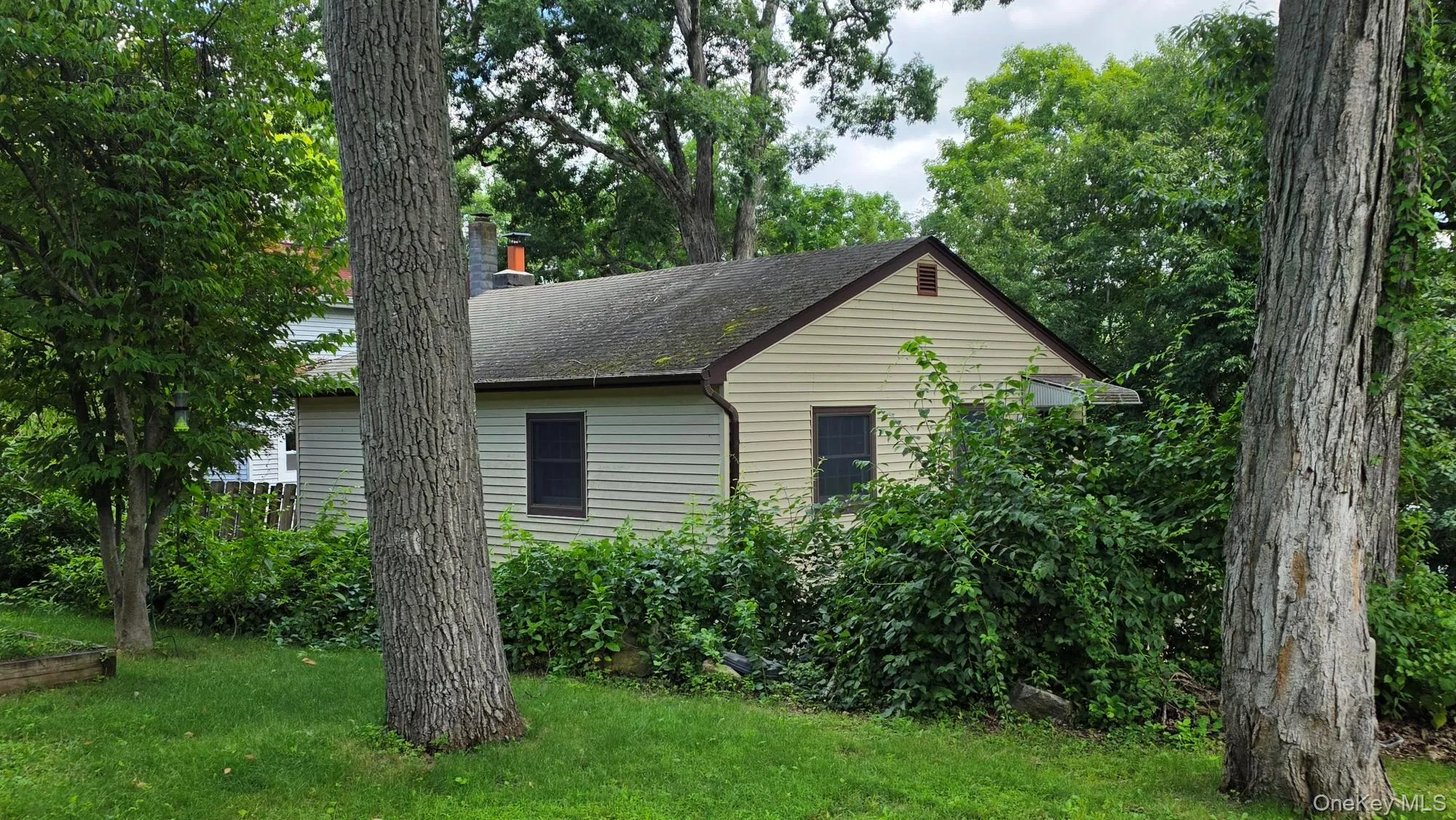 5 Birch Drive, Pawling, NY, 2 Bedrooms Bedrooms, 4 Rooms Rooms,1 BathroomBathrooms,Residential,For Rent,Birch,0,931059 5 Birch Drive, Pawling, NY, 2 Bedrooms Bedrooms, 4 Rooms Rooms,1 BathroomBathrooms,Residential,For Rent,Birch,0,931059