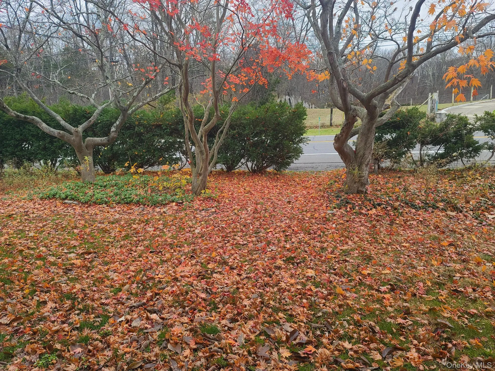 View of front yard View of front yard
