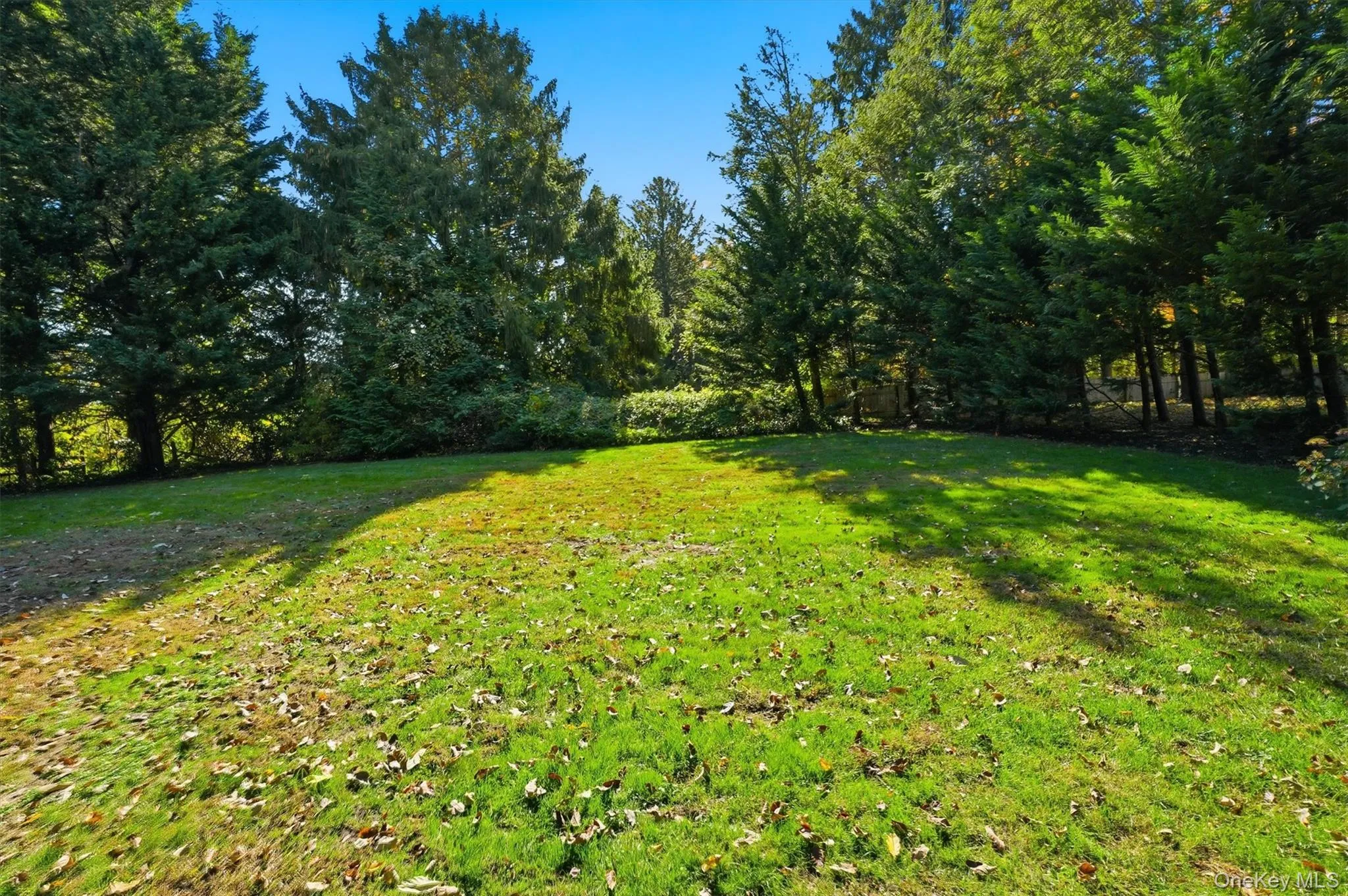 View of grassy yard View of grassy yard
