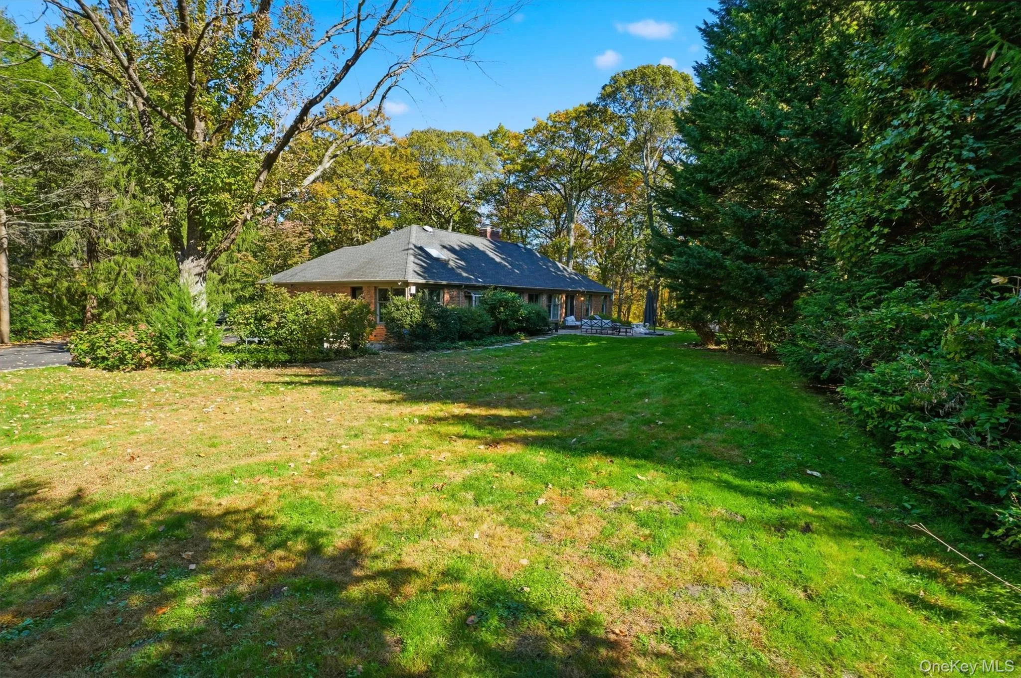 View of grassy yard View of grassy yard