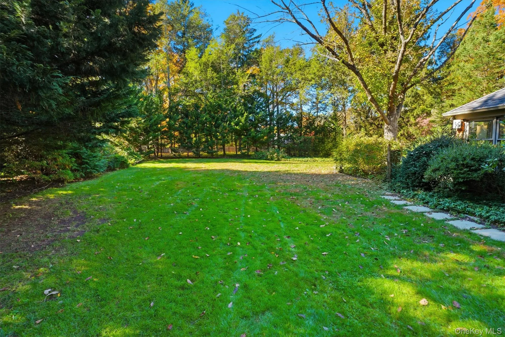 View of grassy yard View of grassy yard