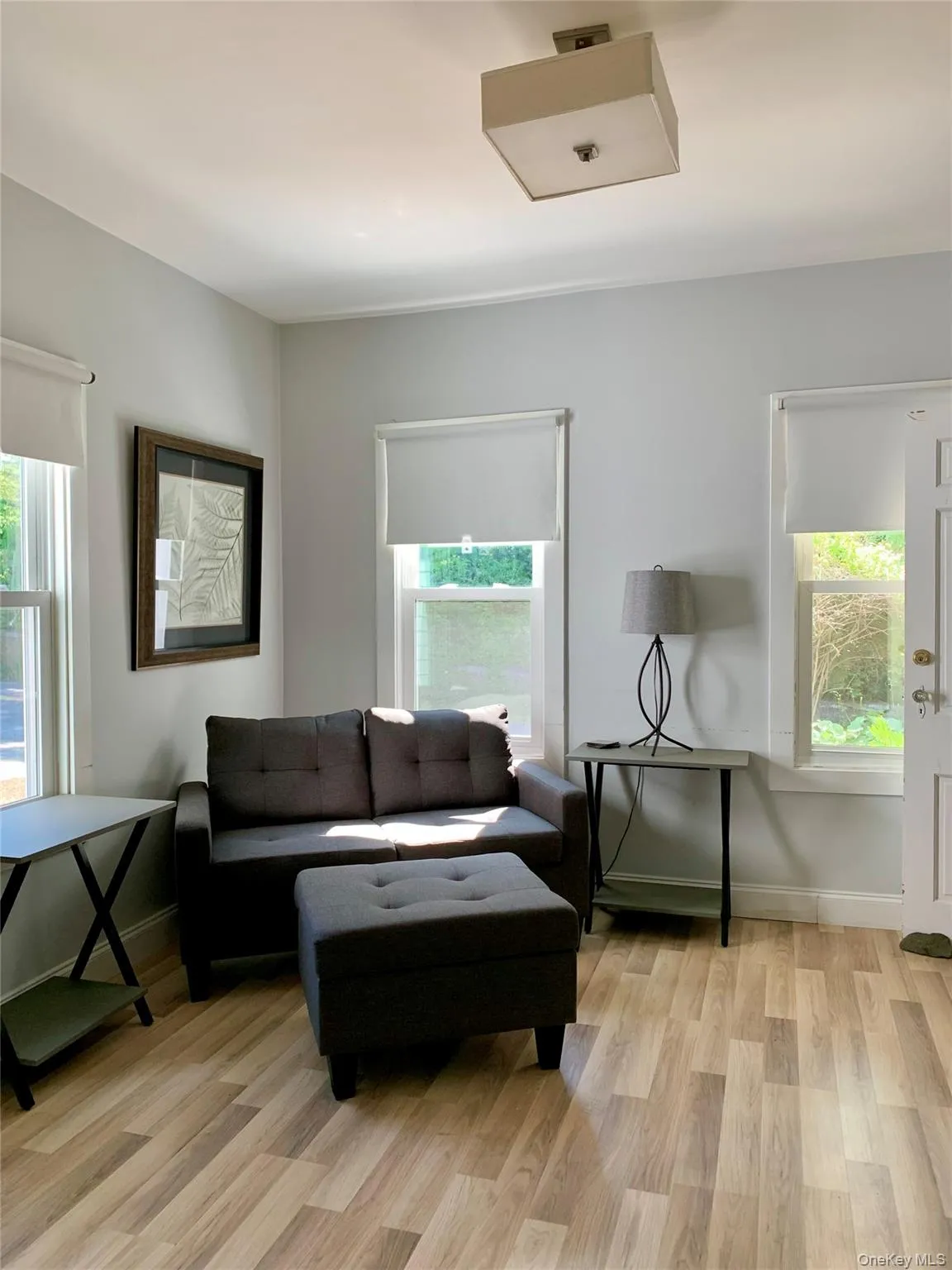 Living area with healthy amount of natural light and light wood-style floors Living area with healthy amount of natural light and light wood-style floors
