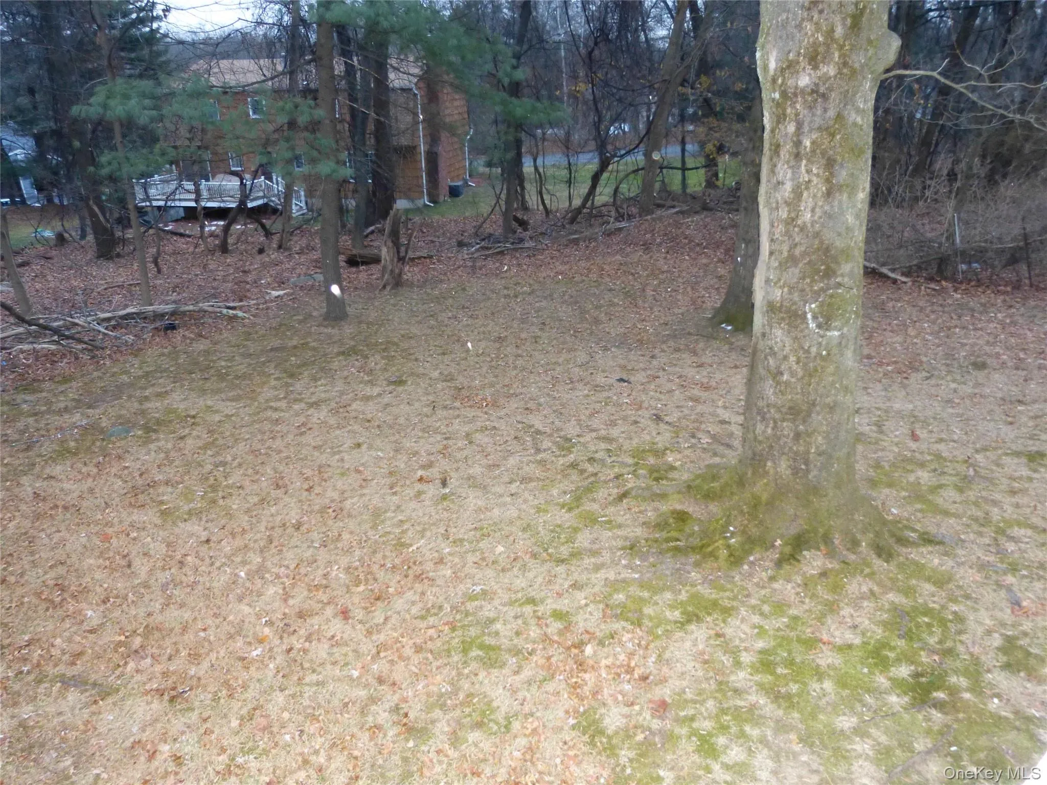 154 Buena Vista Road, Clarkstown, NY, 2 Bedrooms Bedrooms, 4 Rooms Rooms,1 BathroomBathrooms,Residential Lease,Idx,Buena Vista,0,931255 154 Buena Vista Road, Clarkstown, NY, 2 Bedrooms Bedrooms, 4 Rooms Rooms,1 BathroomBathrooms,Residential Lease,Idx,Buena Vista,0,931255