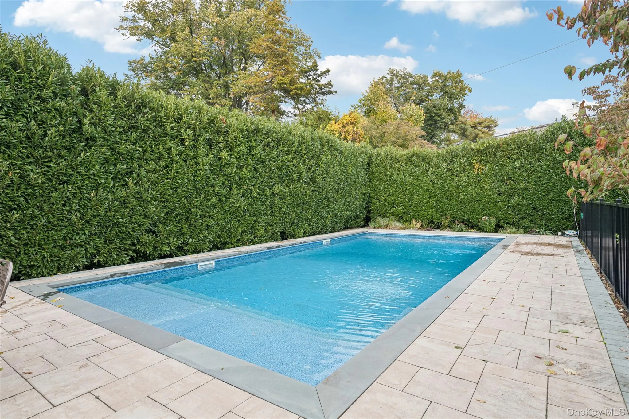 View of pool with a patio and a fenced backyard View of pool with a patio and a fenced backyard
