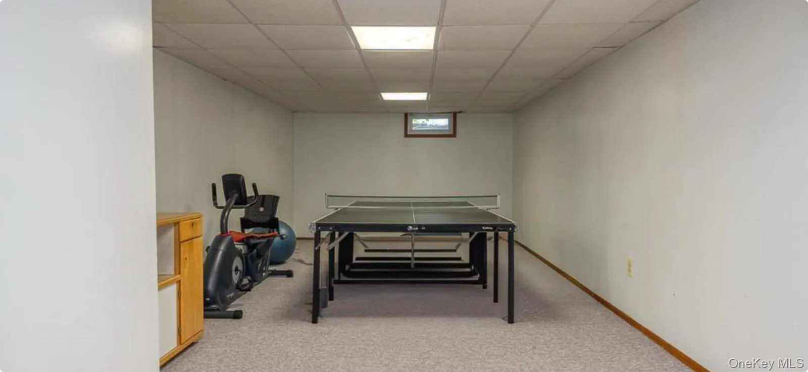 Basement featuring a paneled ceiling and light colored carpet Basement featuring a paneled ceiling and light colored carpet